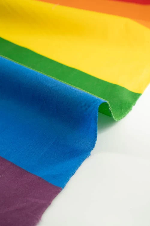 Bandera Orgullo - Image 3