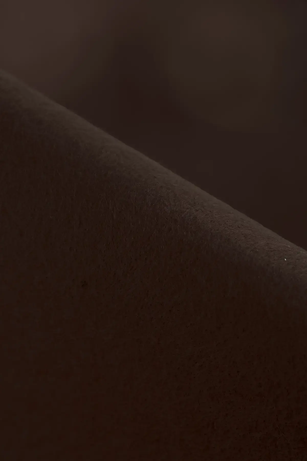 Fieltro coffee bean - Image 2