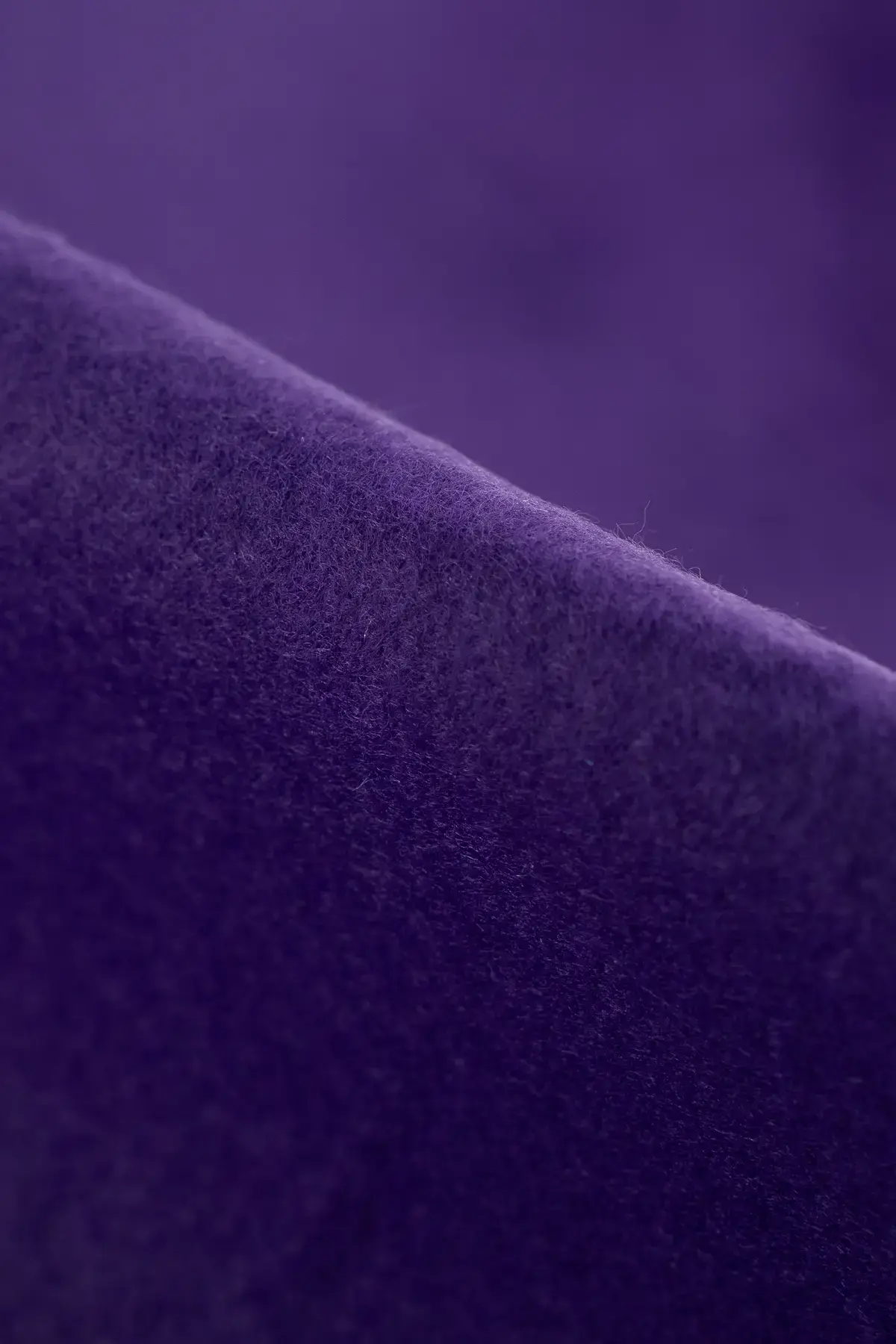 Fieltro ultra violet - Image 2