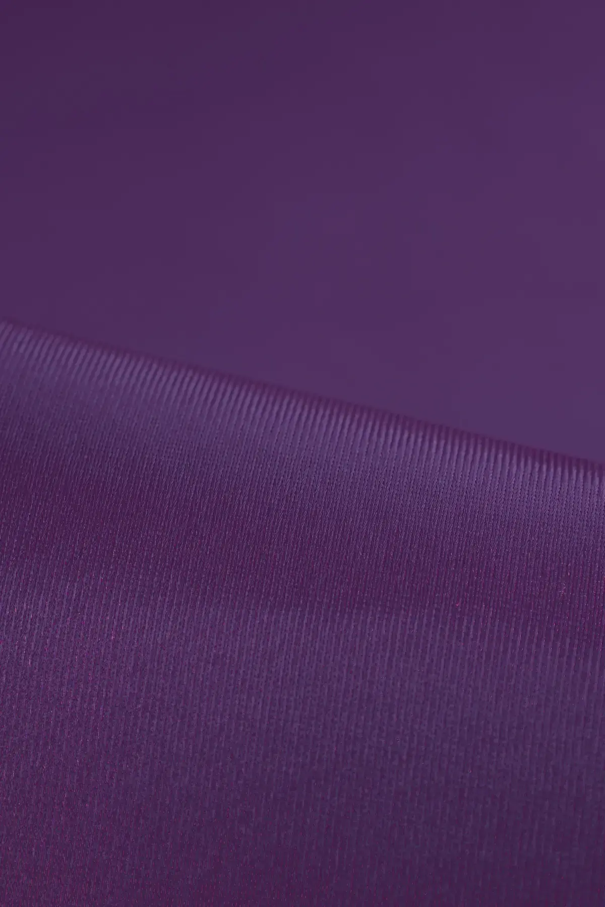 Foam heliotrope - Image 2