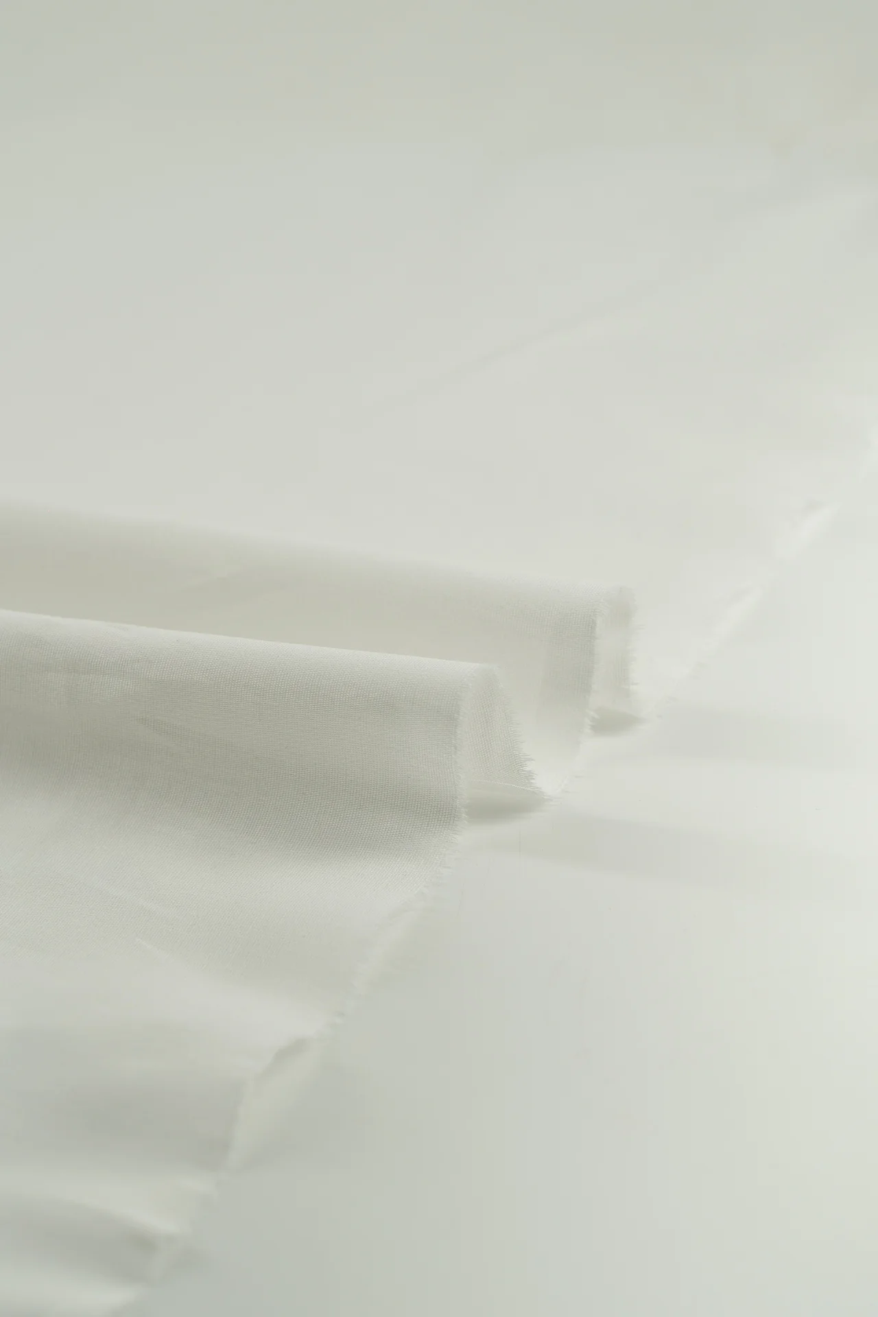 Forro algodón blanc de blanc - Image 4