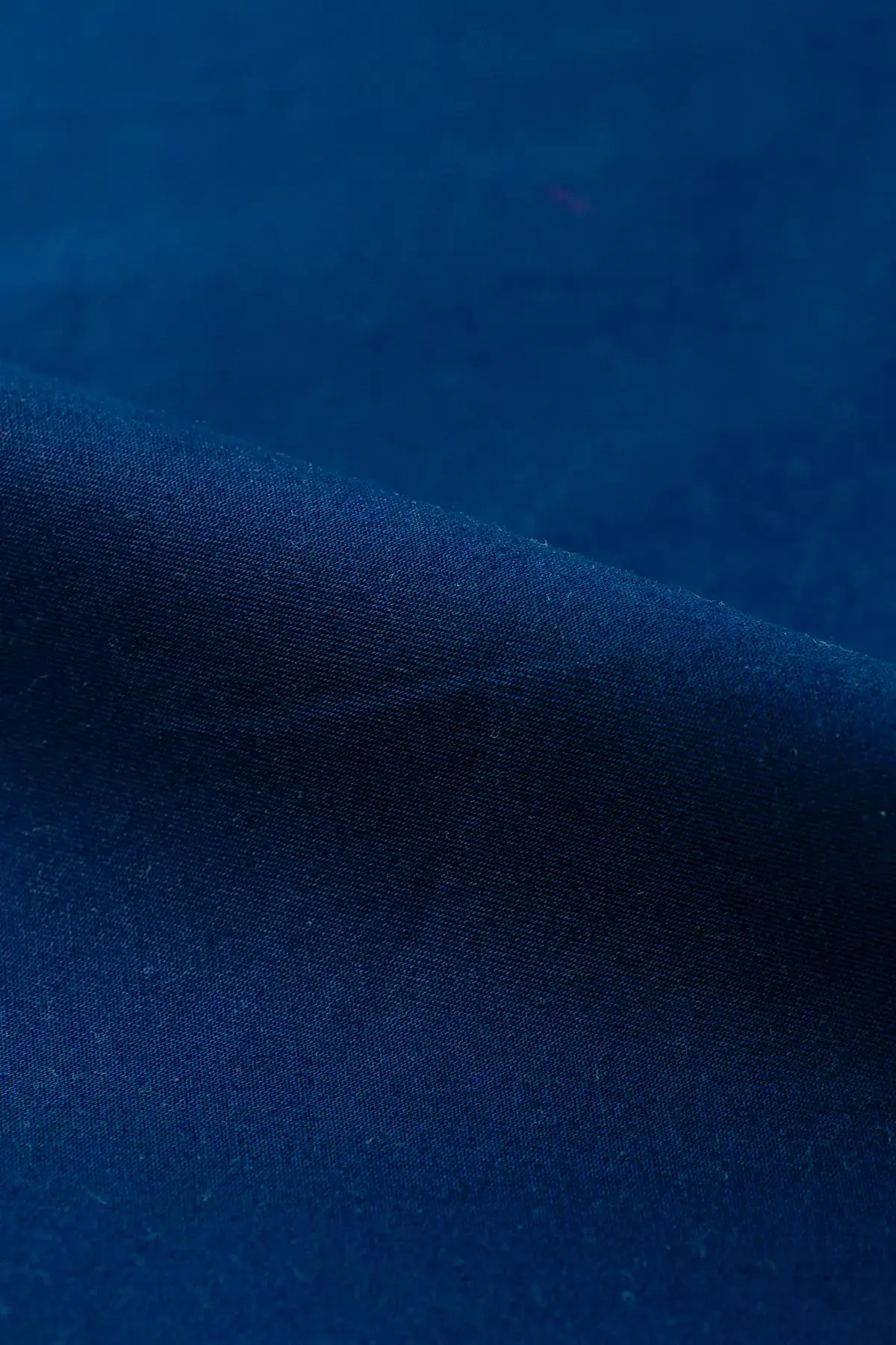 Gabardina surf the web - Image 2