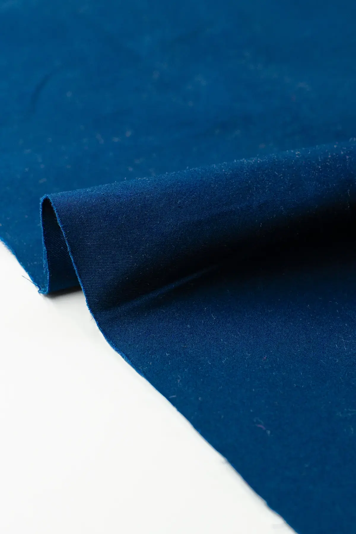 Gabardina surf the web - Image 3