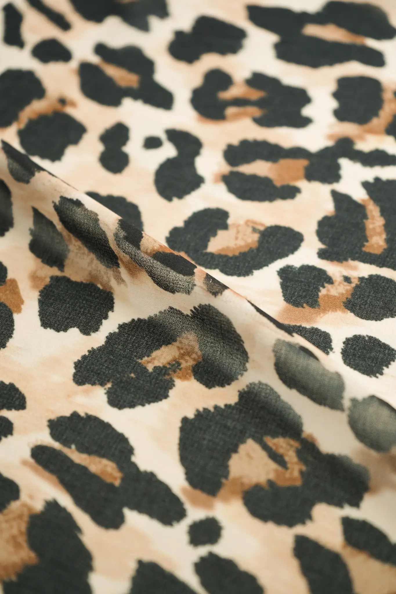 Gasa leopardo - Image 2