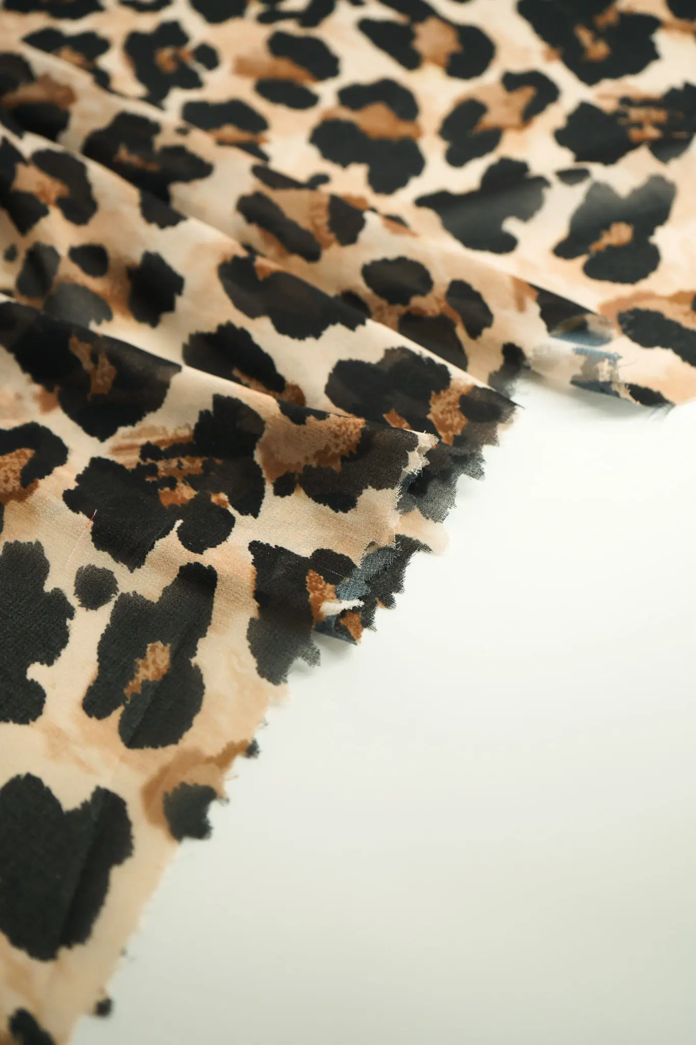 Gasa leopardo - Image 4