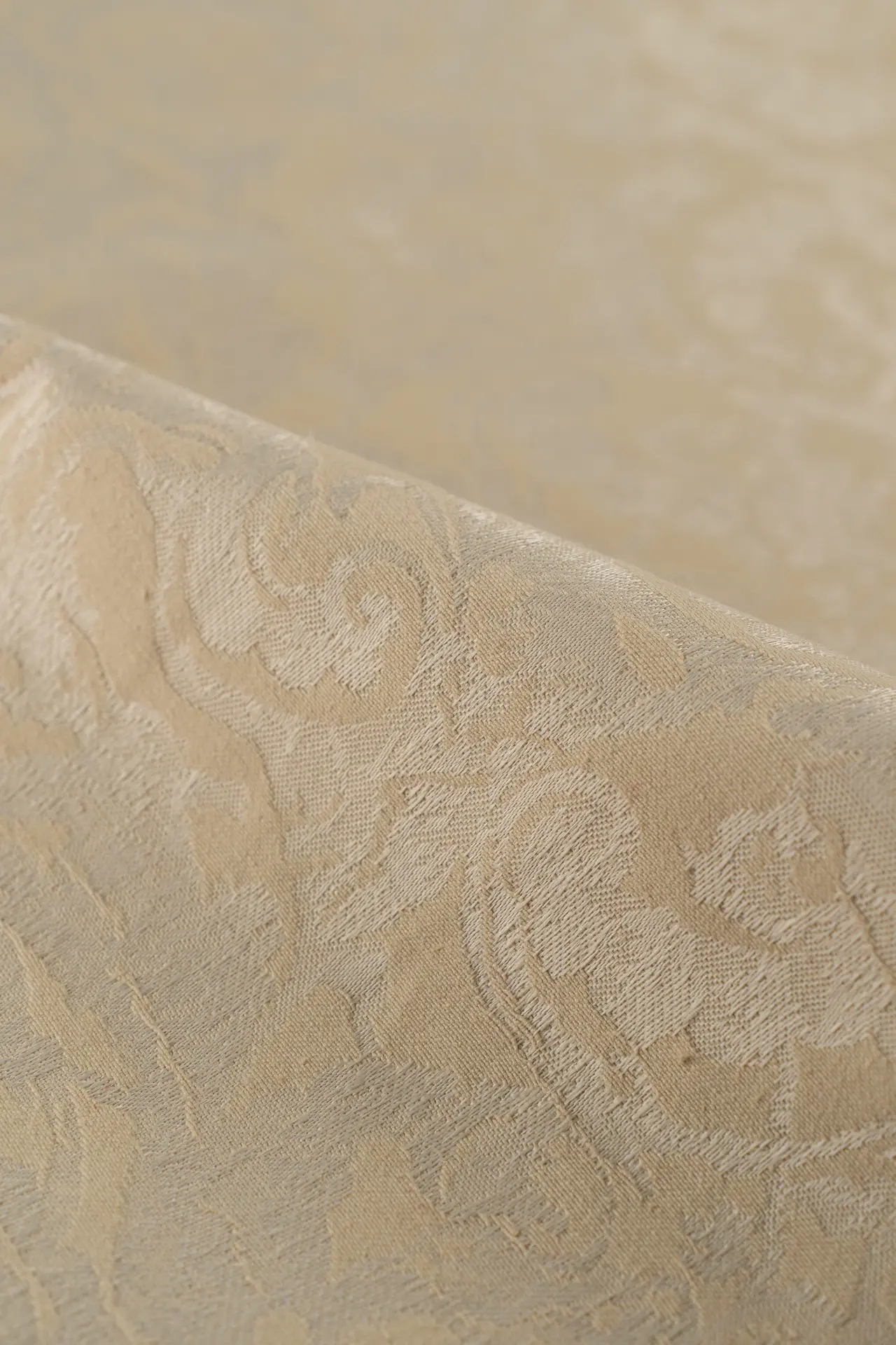 Jacquard white asparagus - Image 2