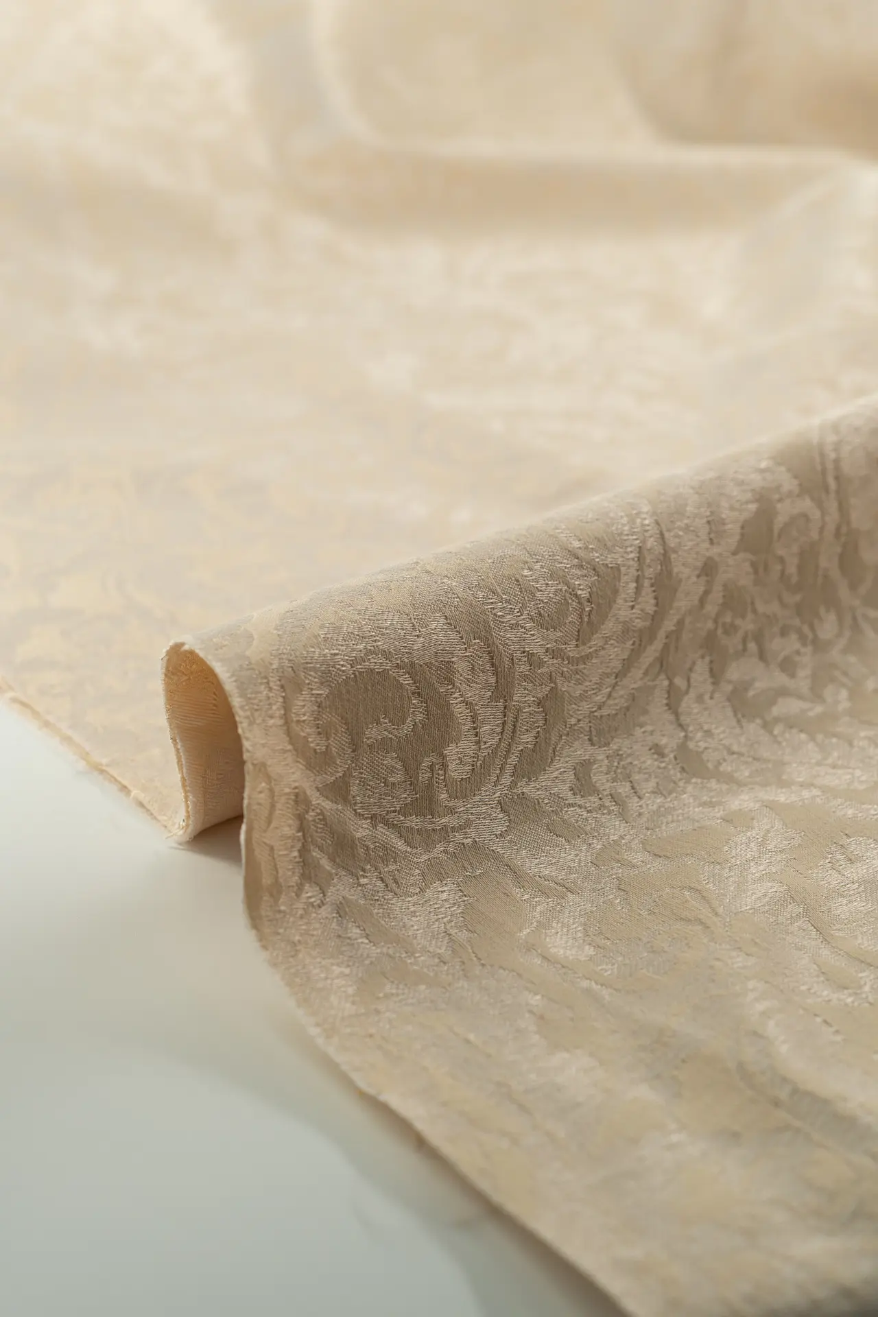 Jacquard white asparagus - Image 3
