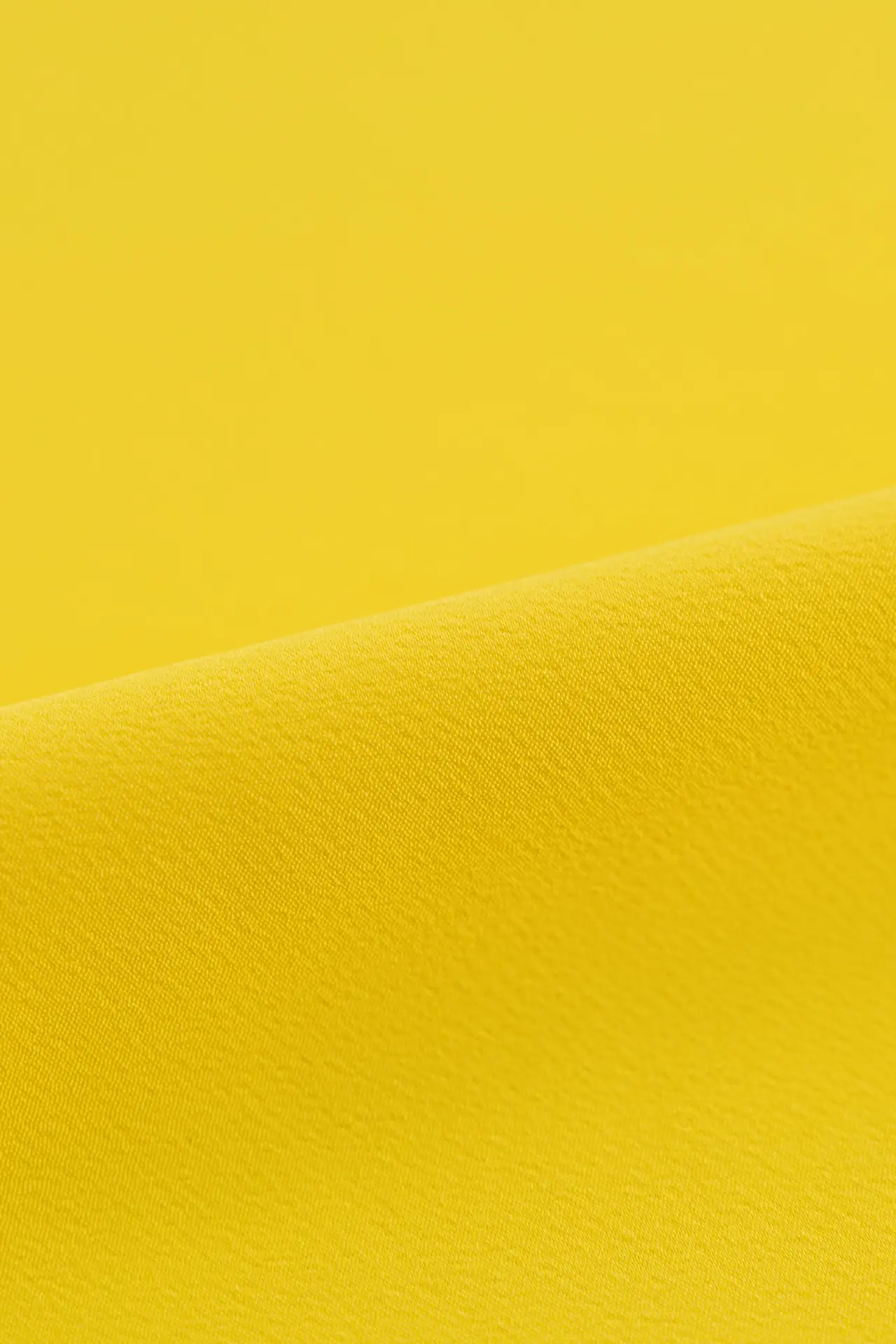 Koshibo amarillo - Image 2