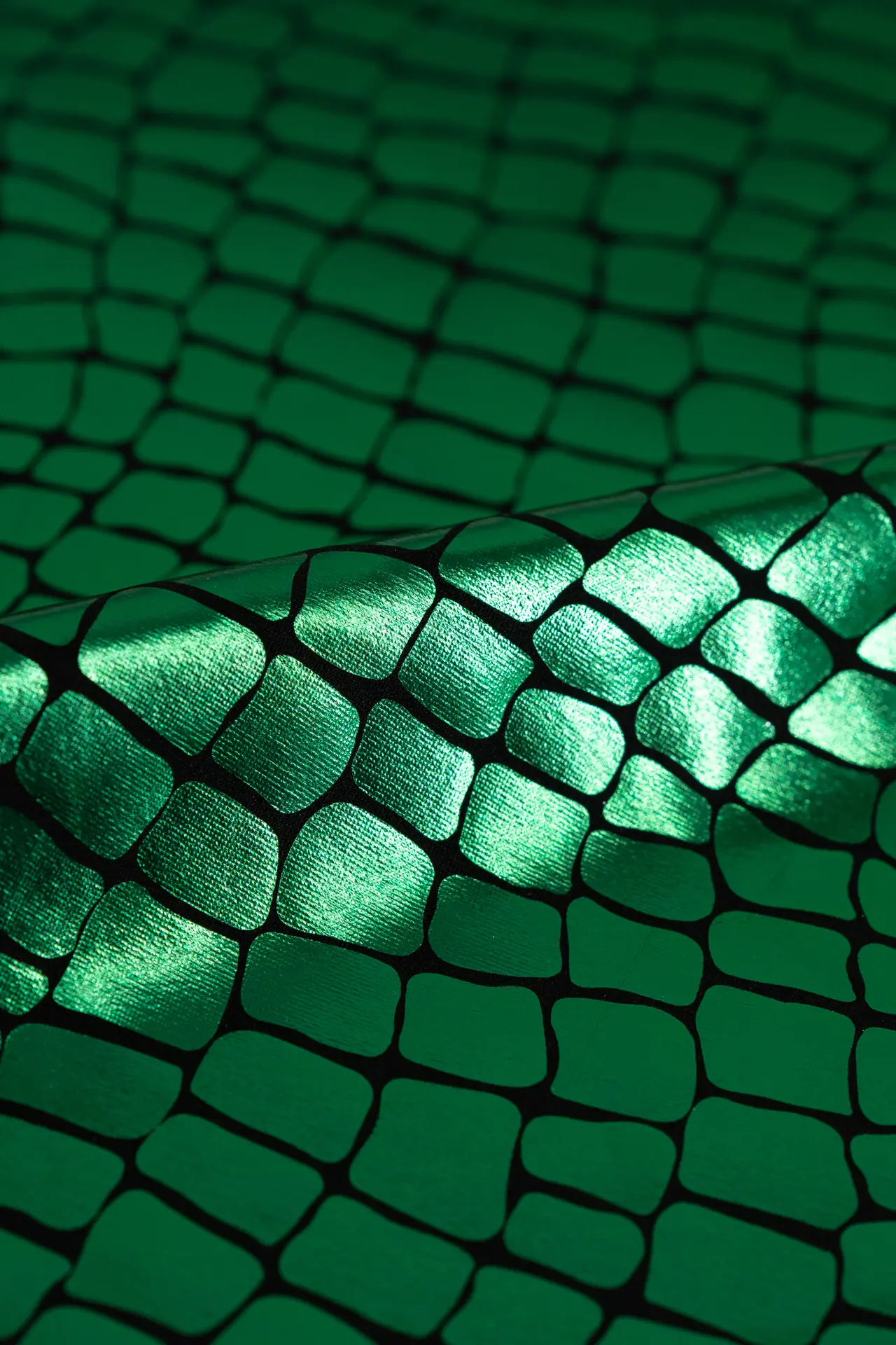Lame cocodrilo verde - Image 2
