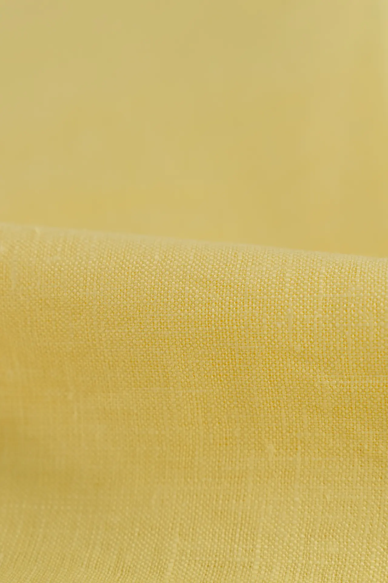 Lino sunshine - Image 2