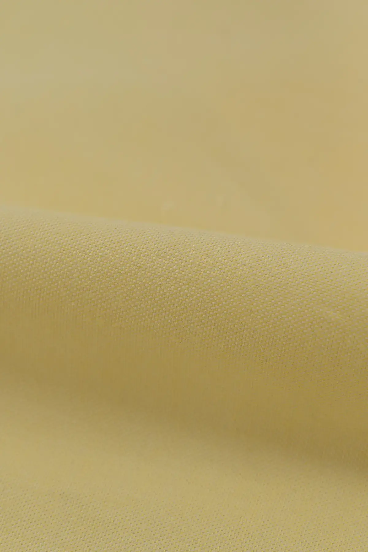 Oxford elfin yellow - Image 2