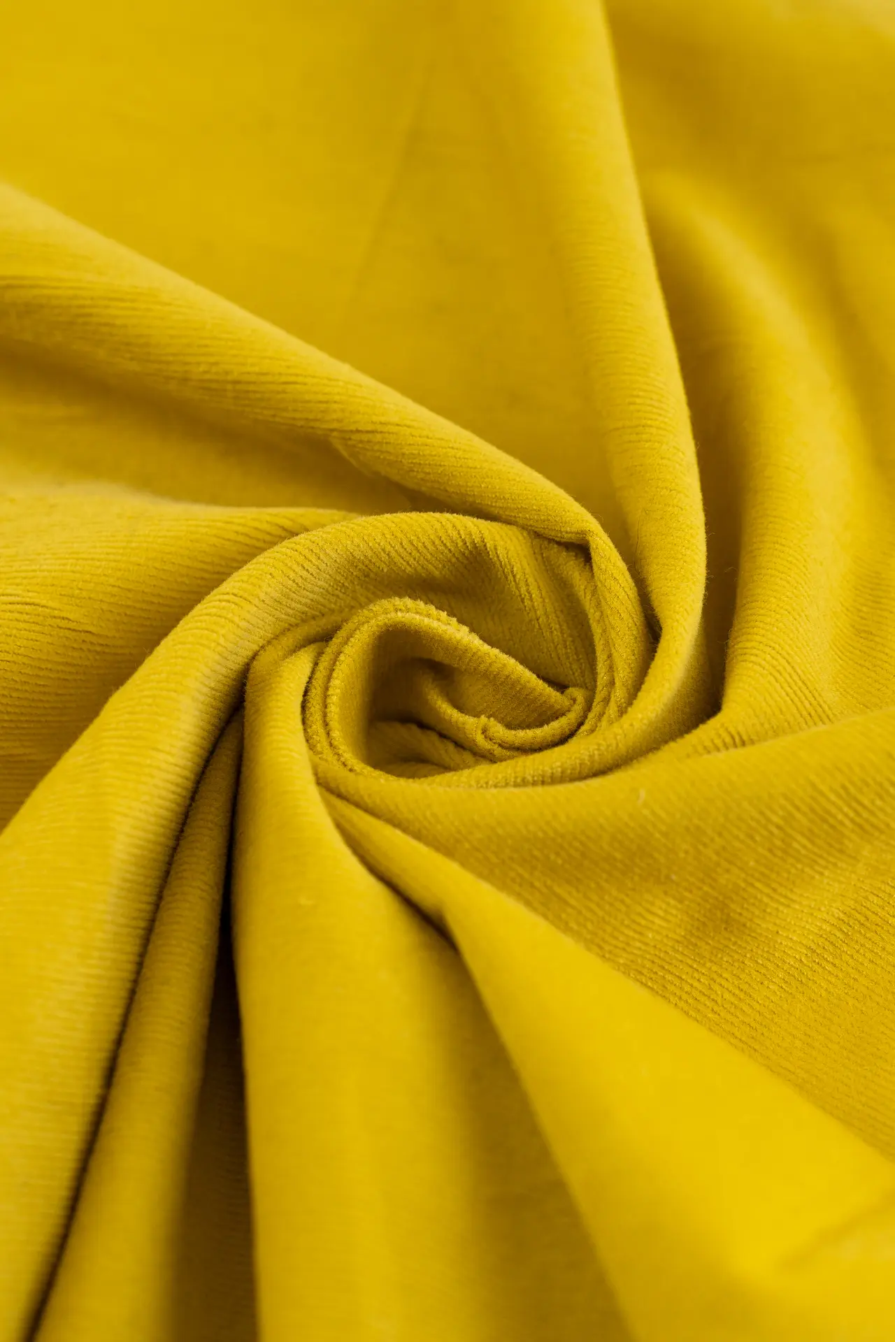 Pana bamboo - Image 4