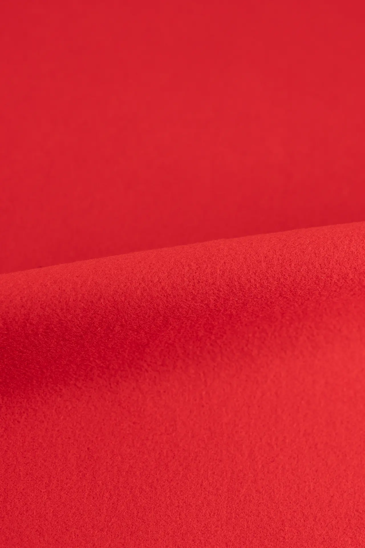 Paño rojo formula one - Image 2