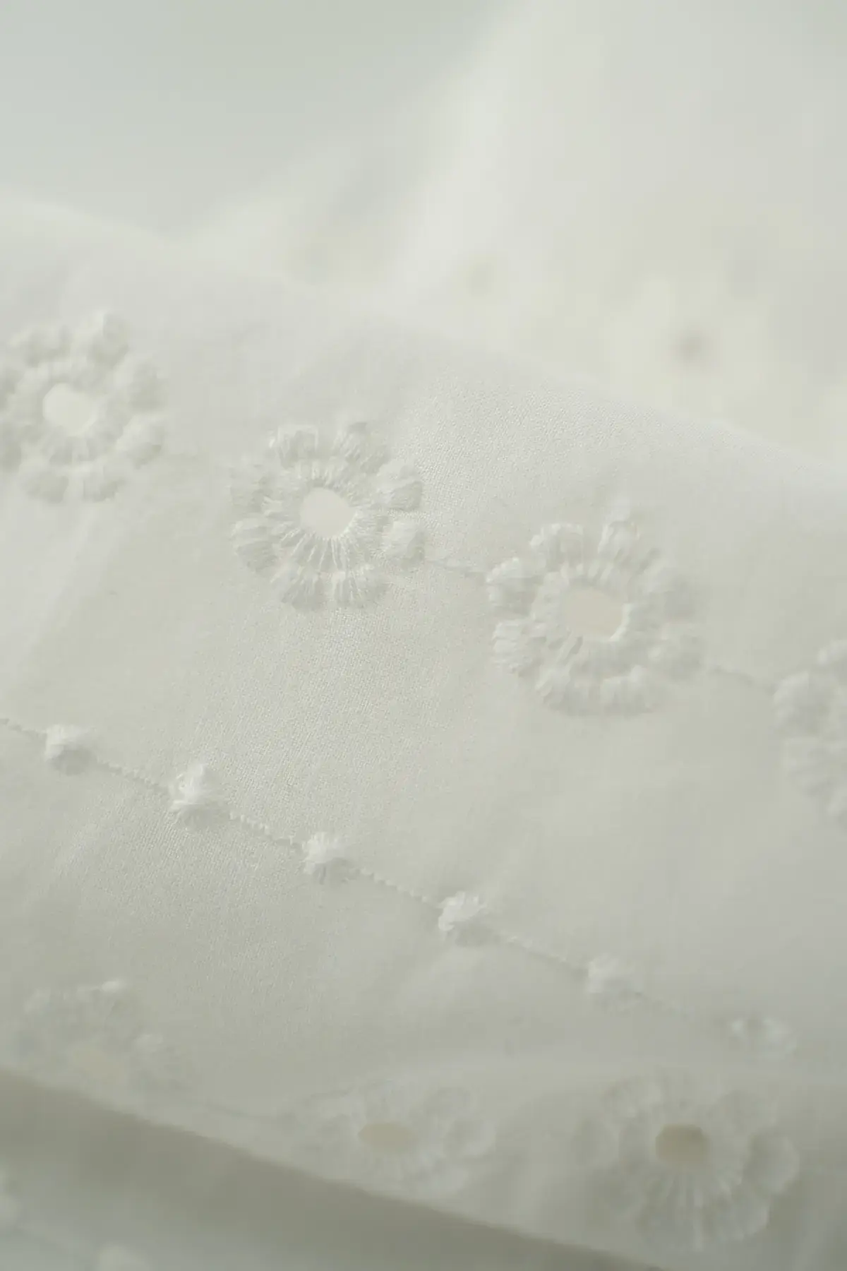 Perforado blanc de blanc - Image 2