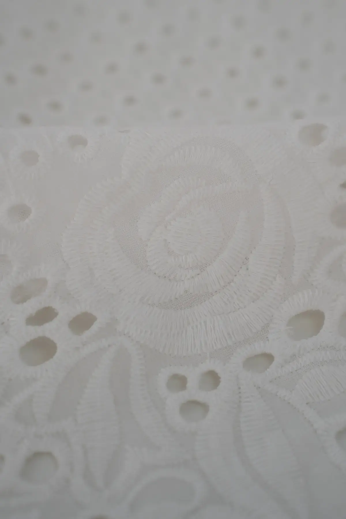 Perforado blanc de blanc - Image 2