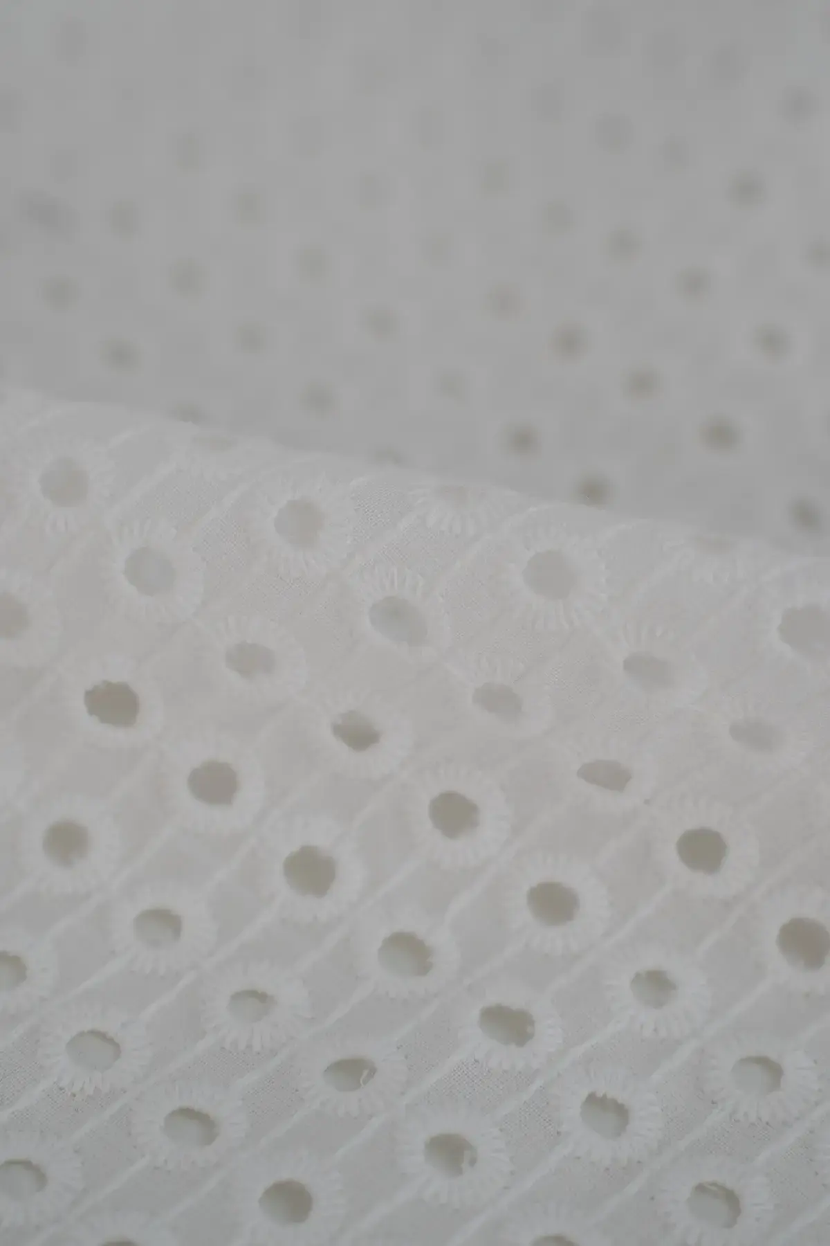 Perforado blanc de blanc - Image 3
