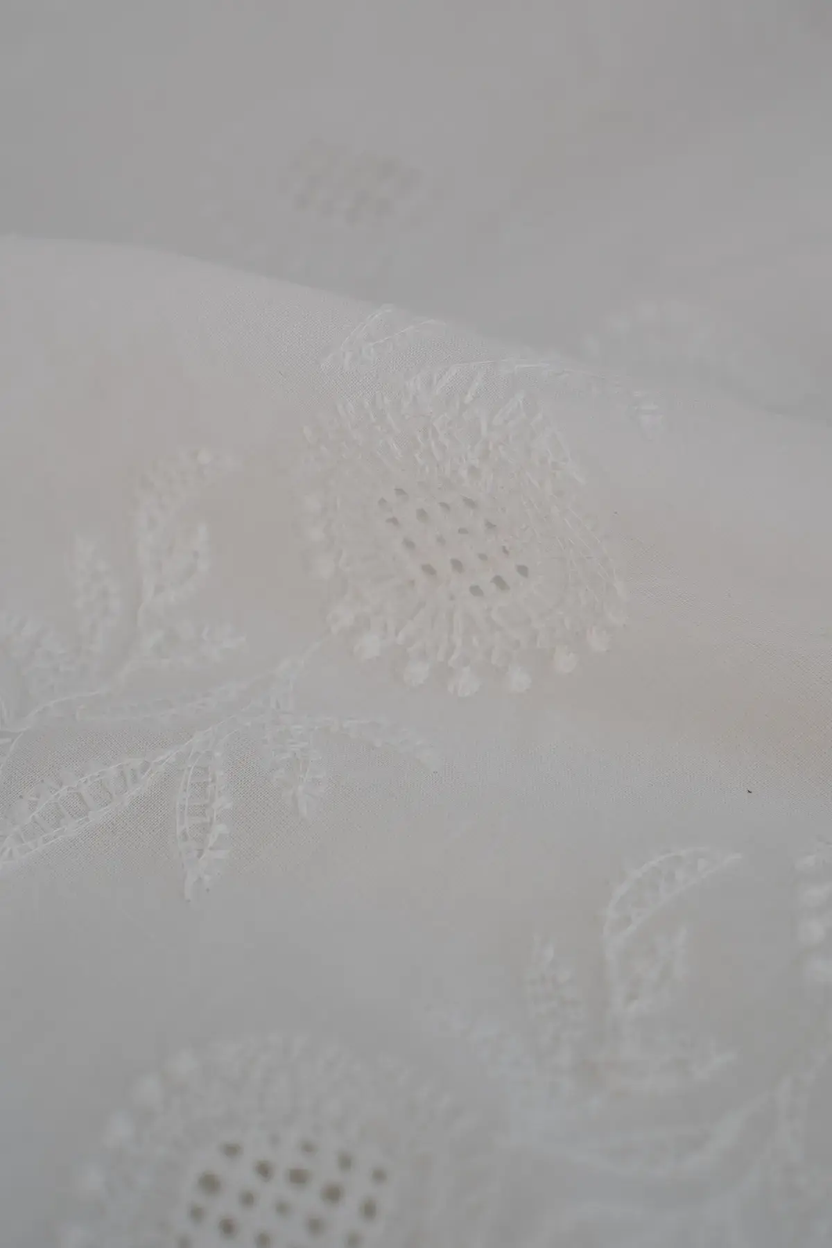 Perforado blanc de blanc - Image 2