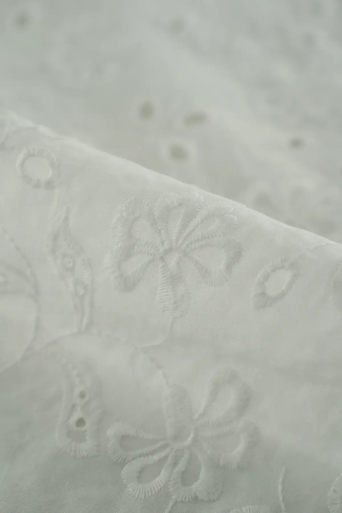 Perforado blanc de blanc - Image 2