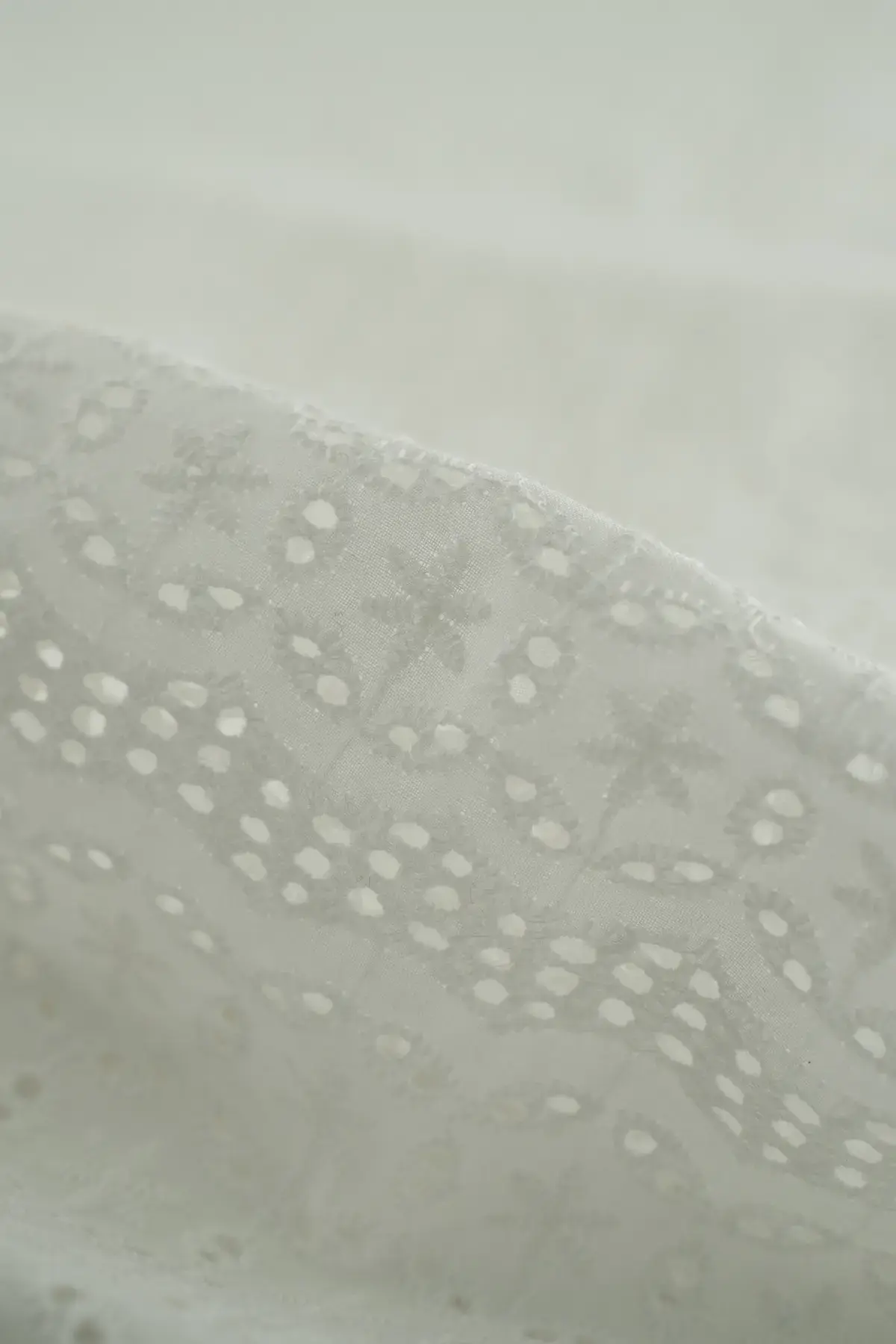 Perforado blanc de blanc - Image 2
