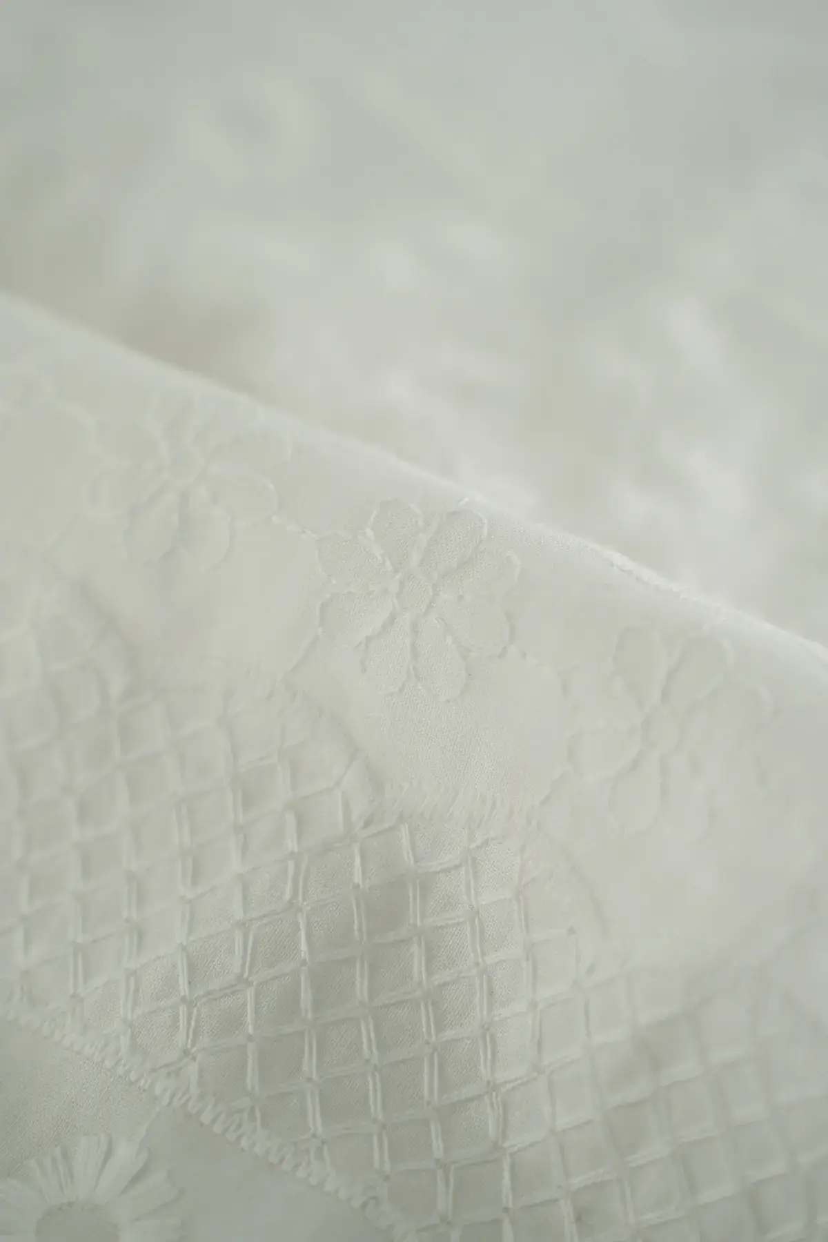Perforado blanc de blanc - Image 2