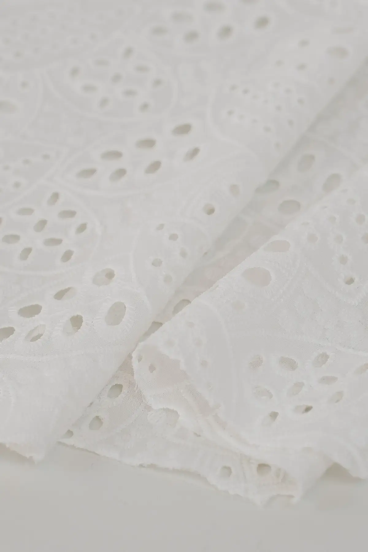 Perforado blanc de blanc - Image 3