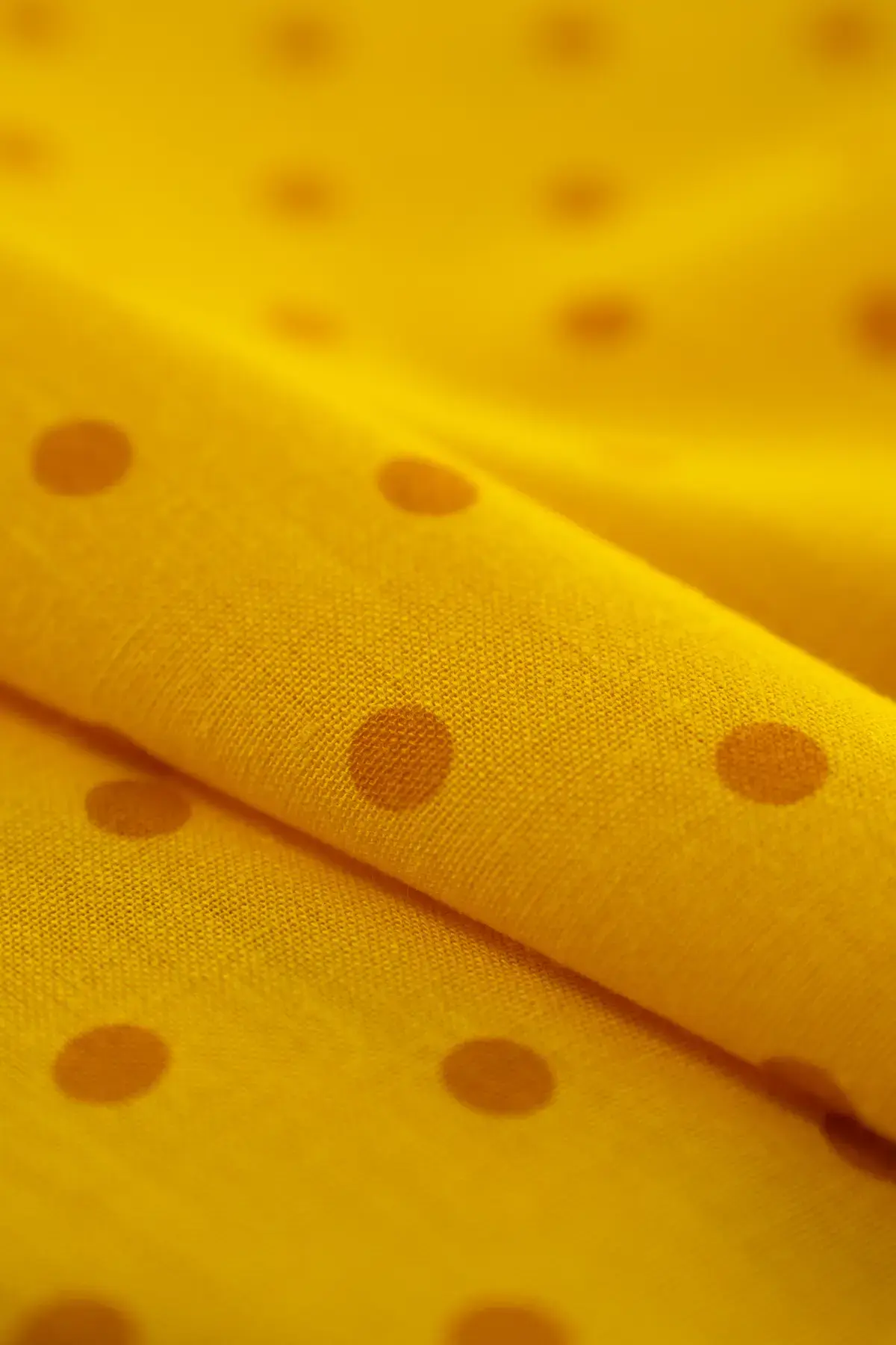 Polina citrus - Image 2
