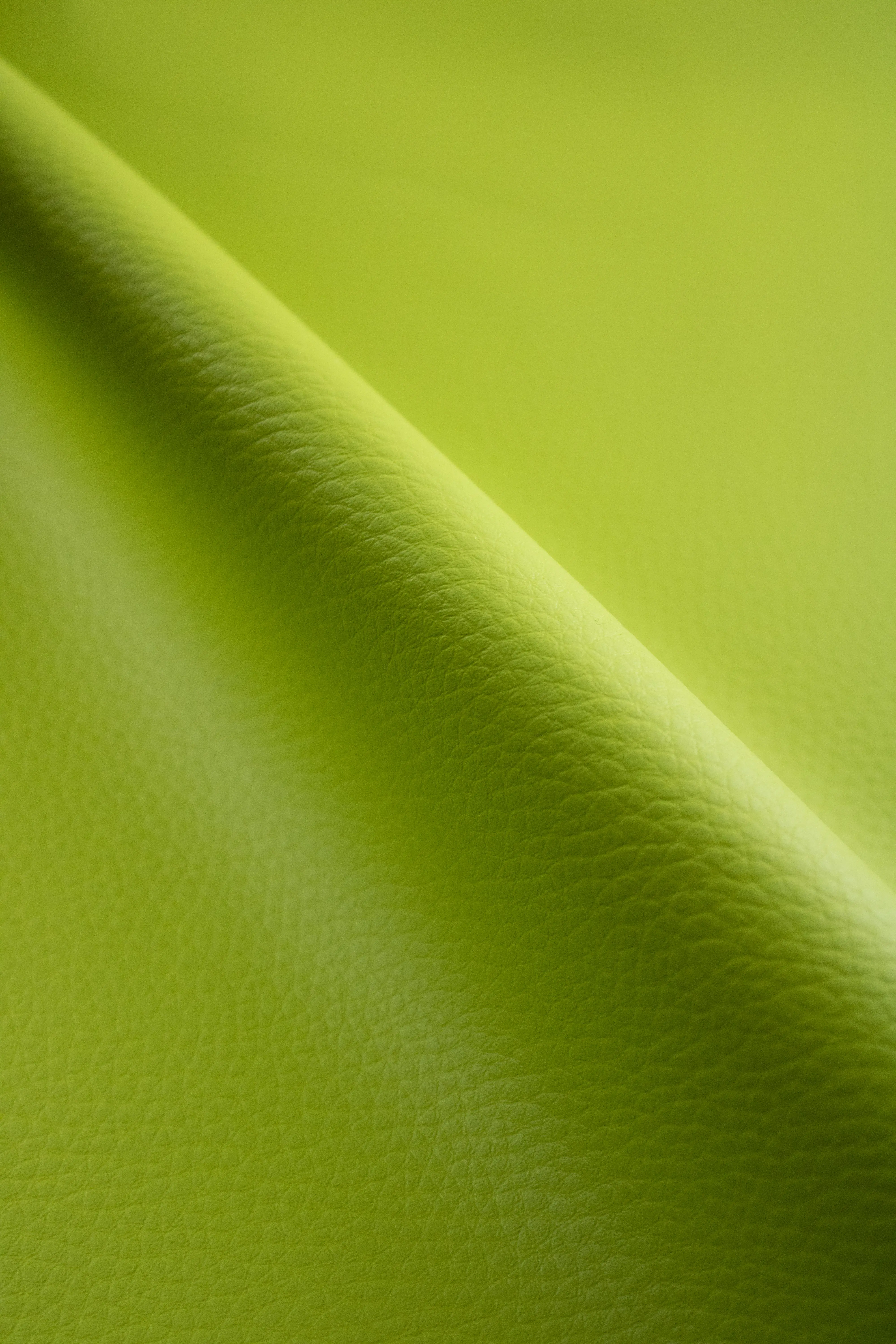 Polipiel kiwi - Image 2