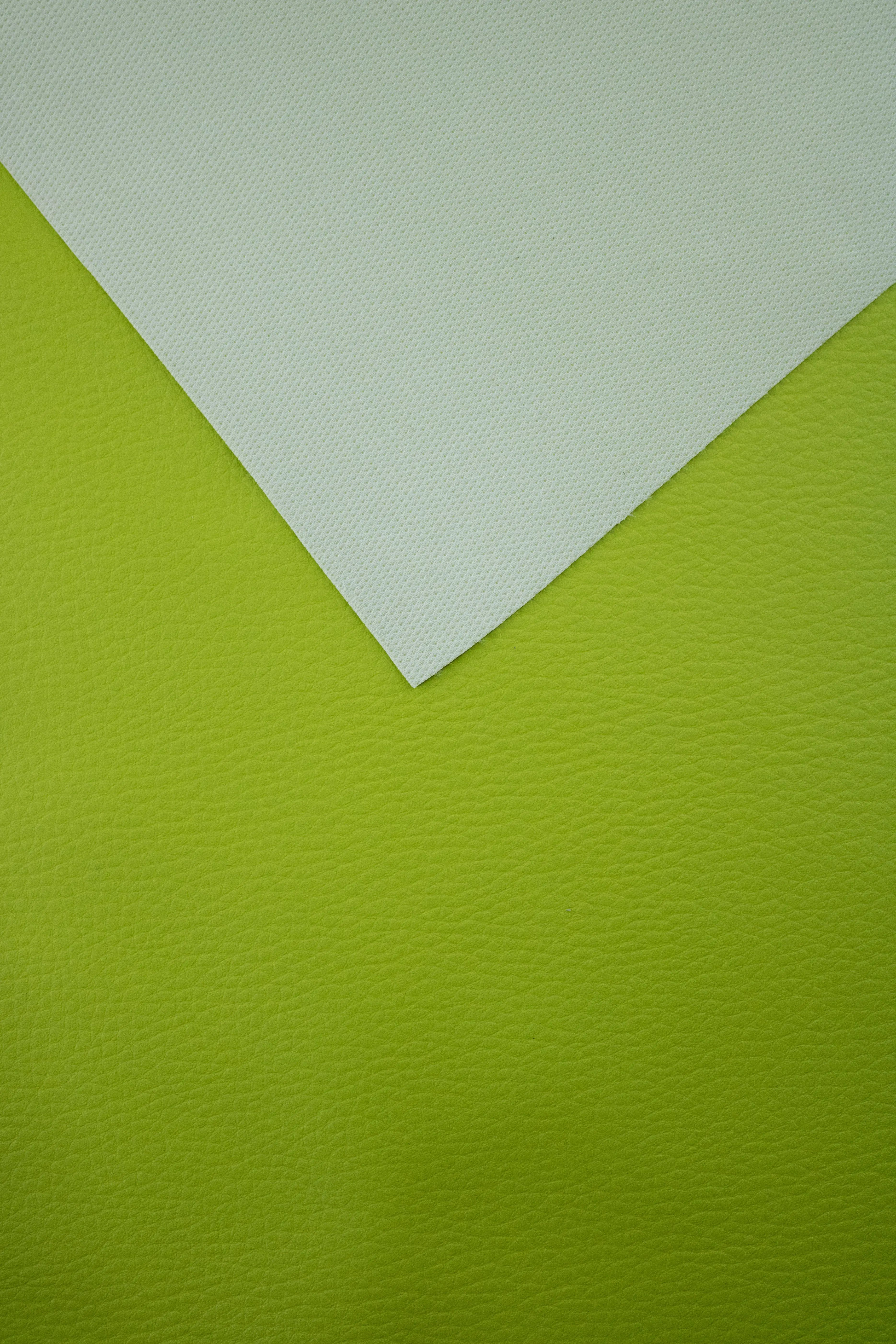 Polipiel kiwi - Image 3