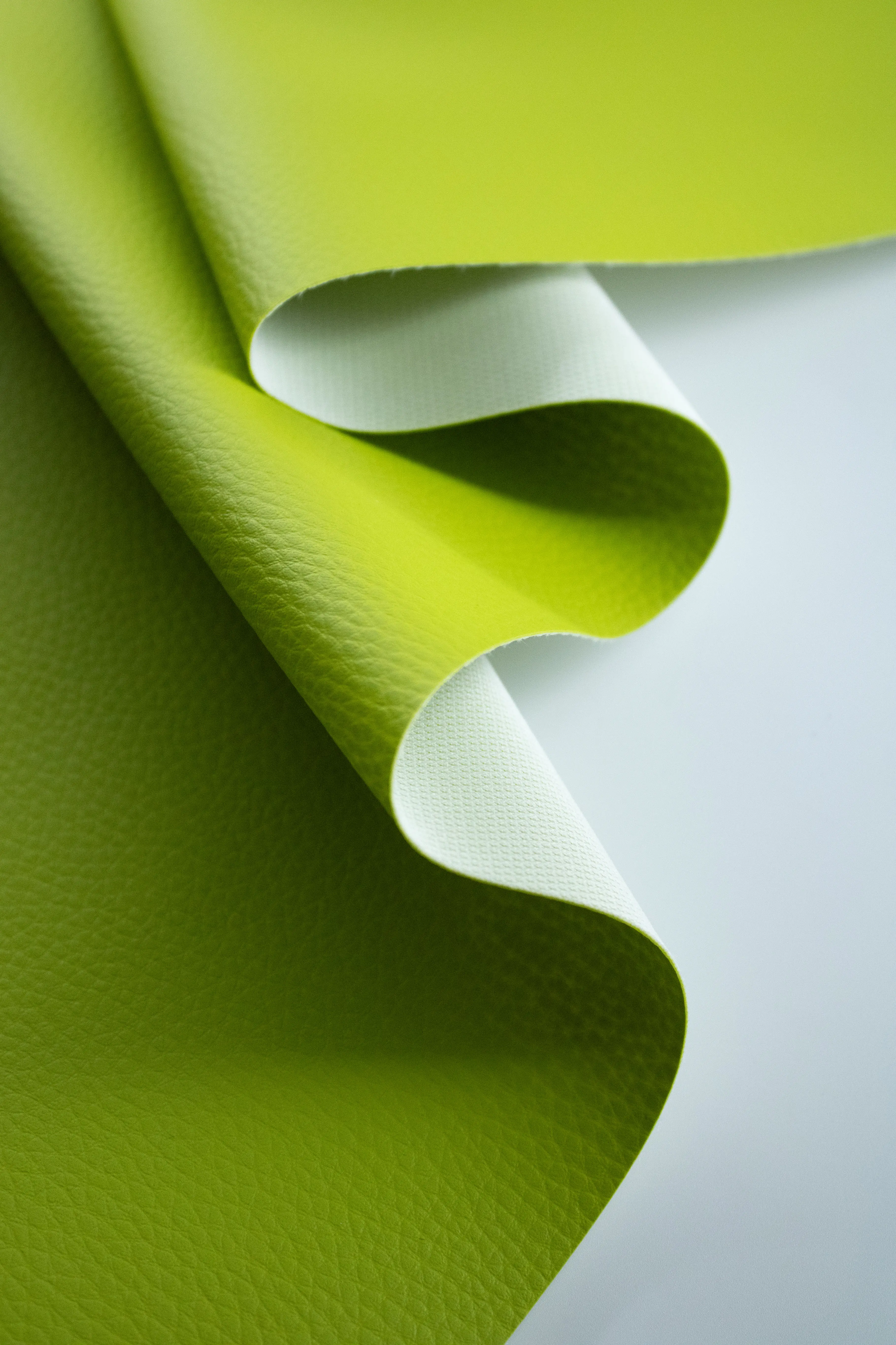 Polipiel kiwi - Image 4
