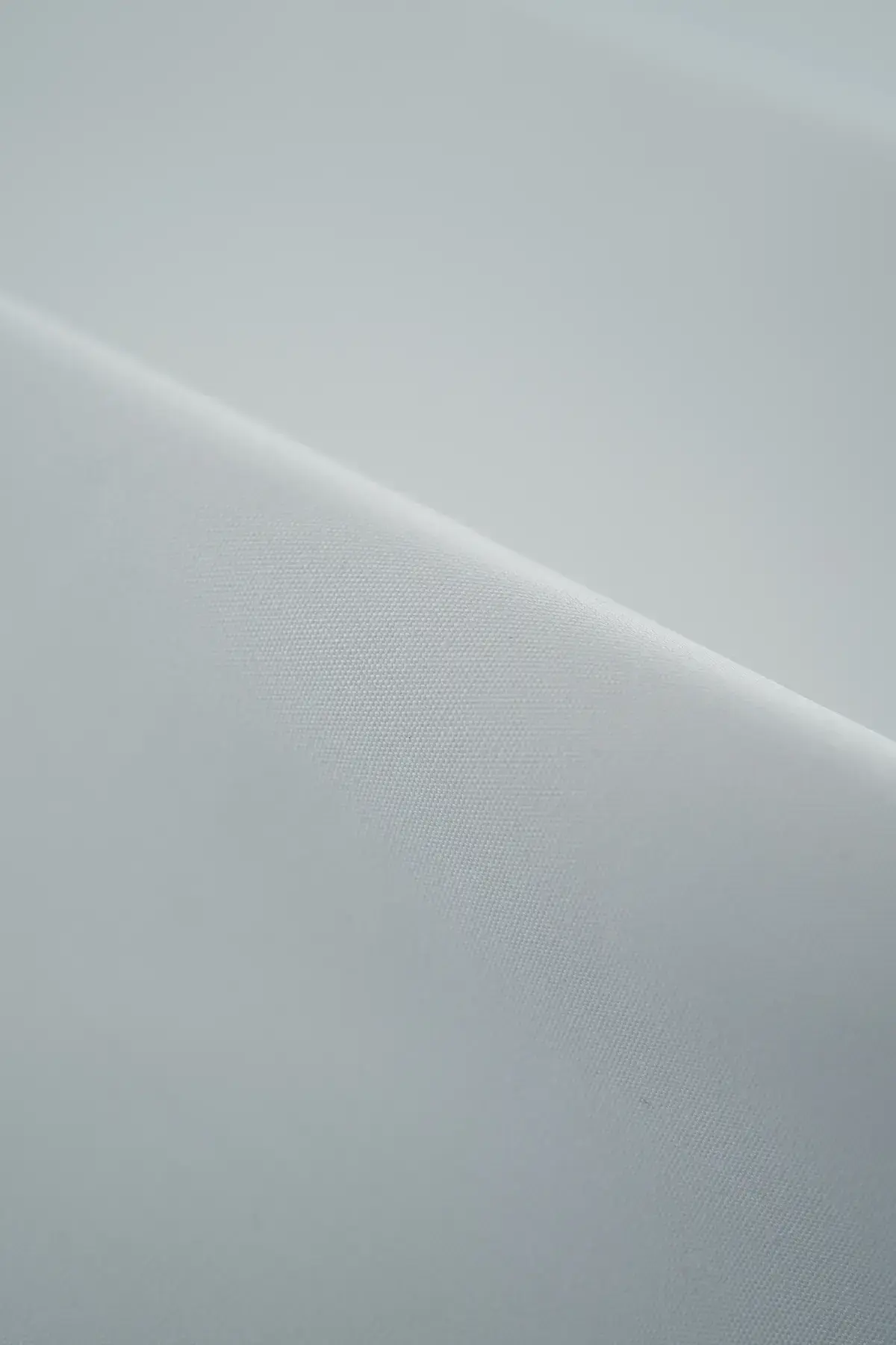 Popelin blanc de blanc - Image 2