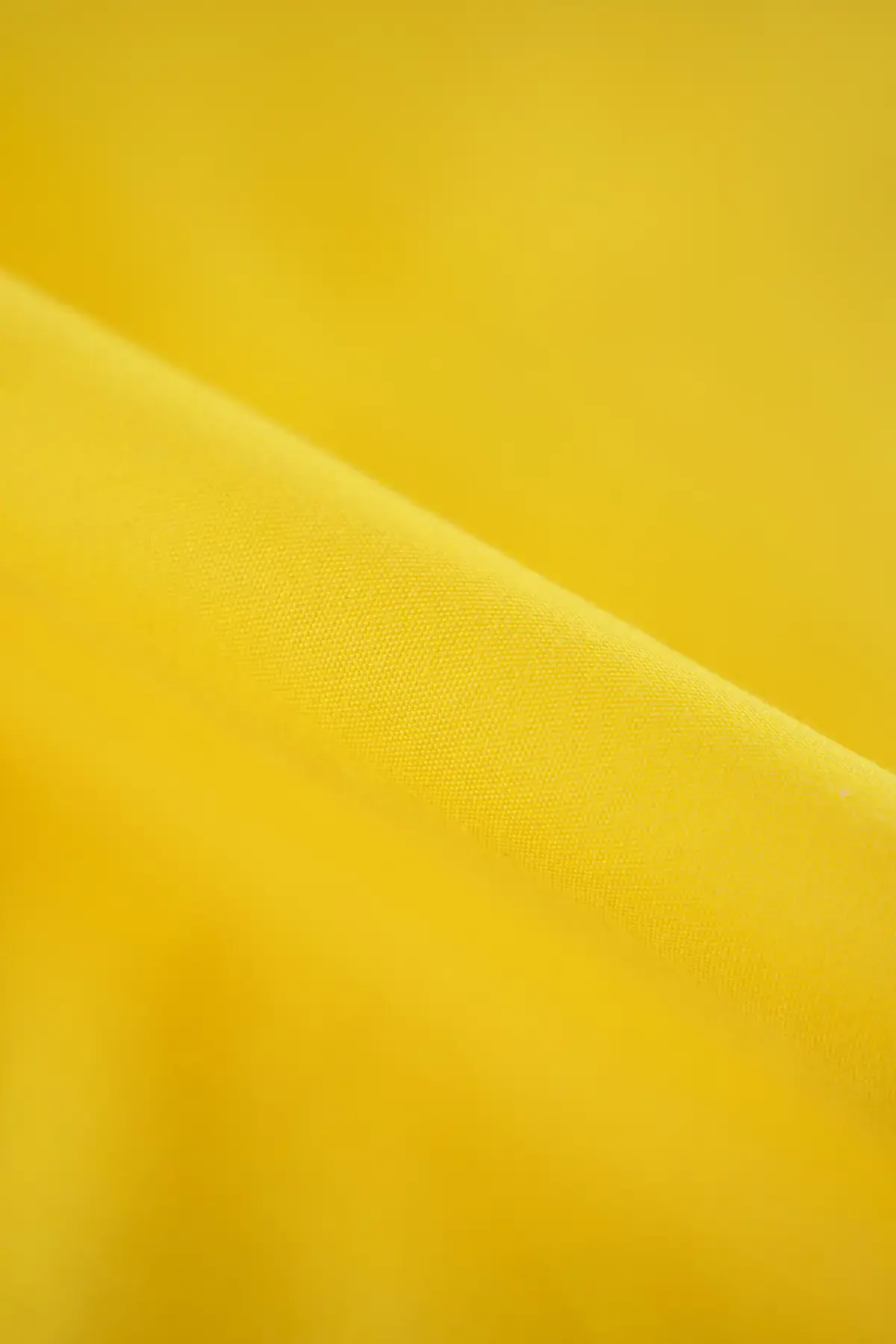 Popelin amarillo mantequilla - Image 2