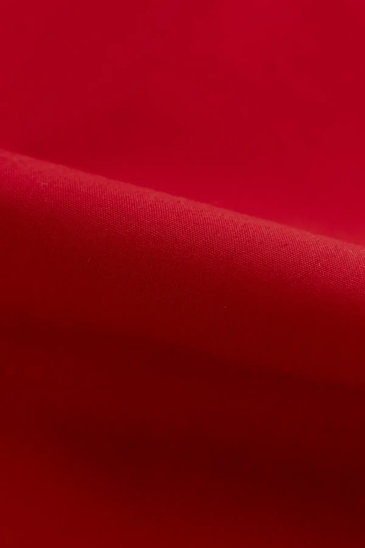 Popelin ribbon red - Image 2