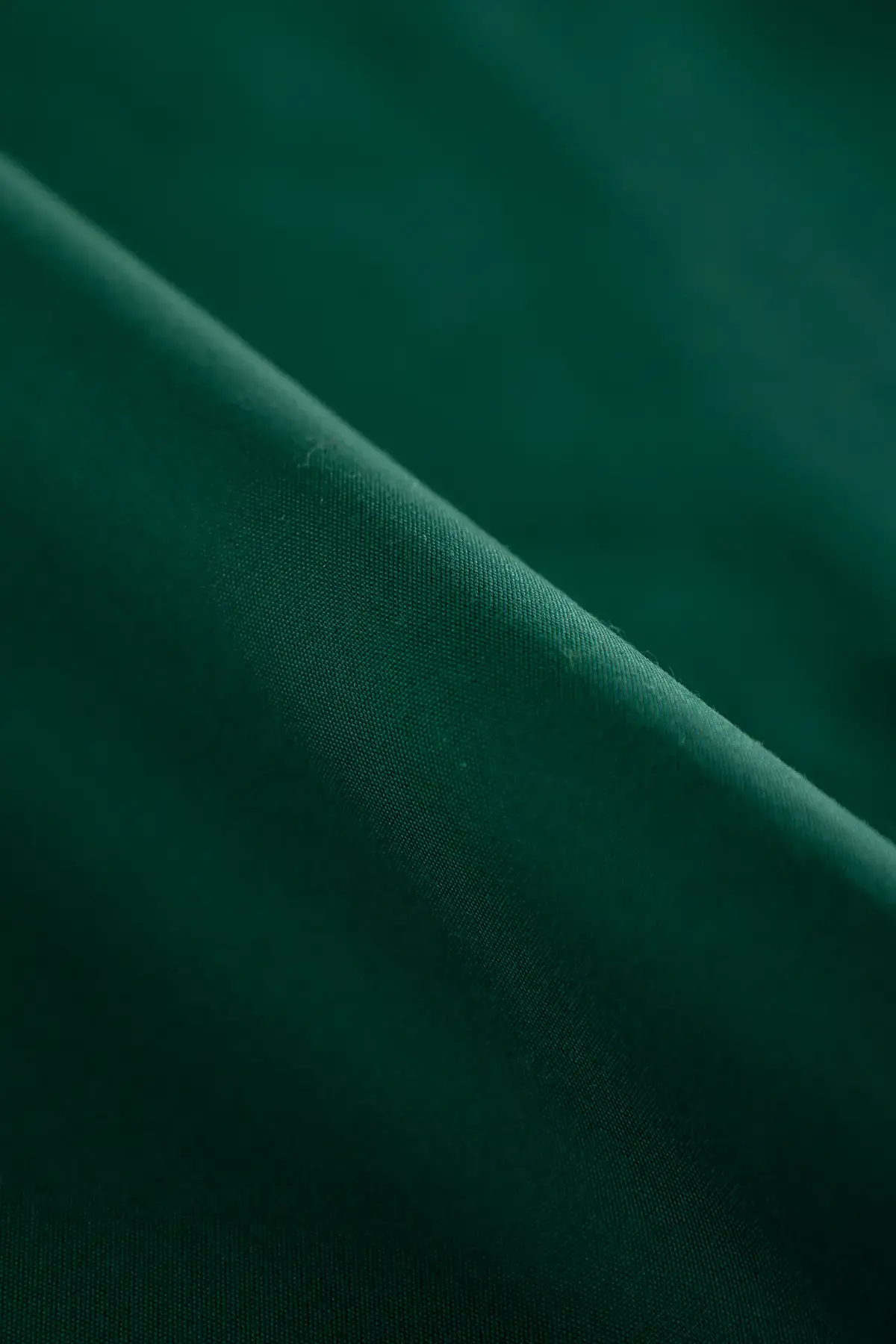 Popelin verde bosque - Image 2