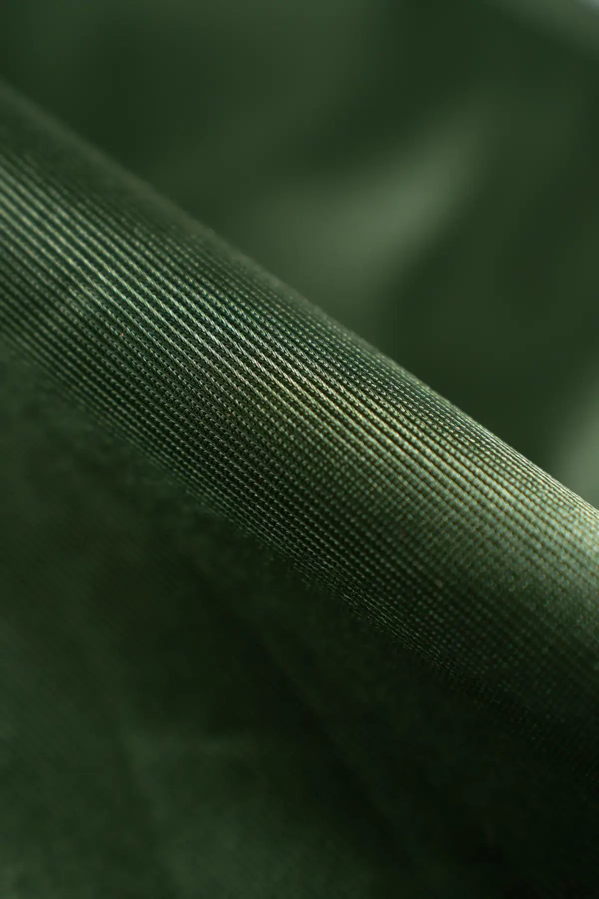 Rasete chive - Image 2