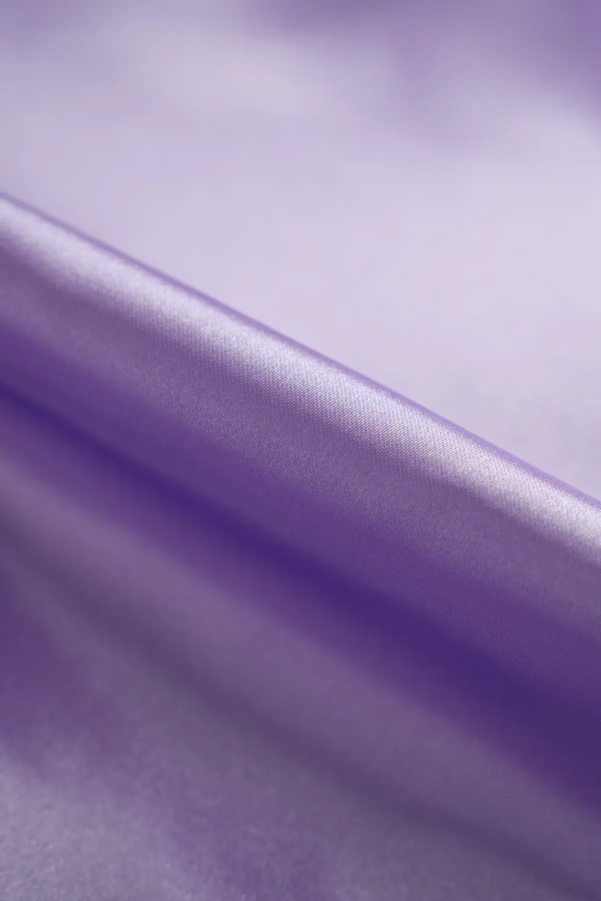 Raso thistle - Image 2
