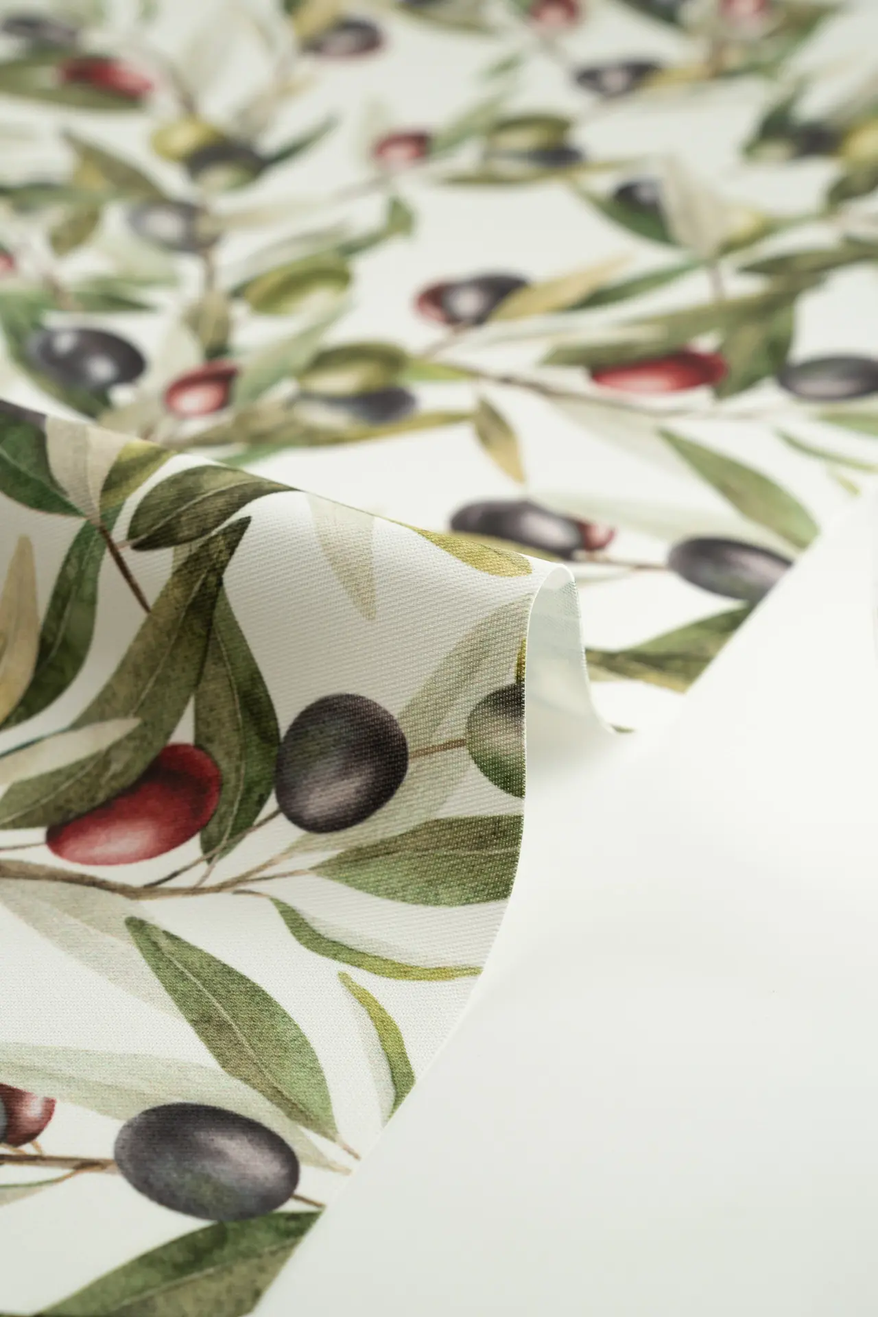 Resinado aceitunas - Image 3