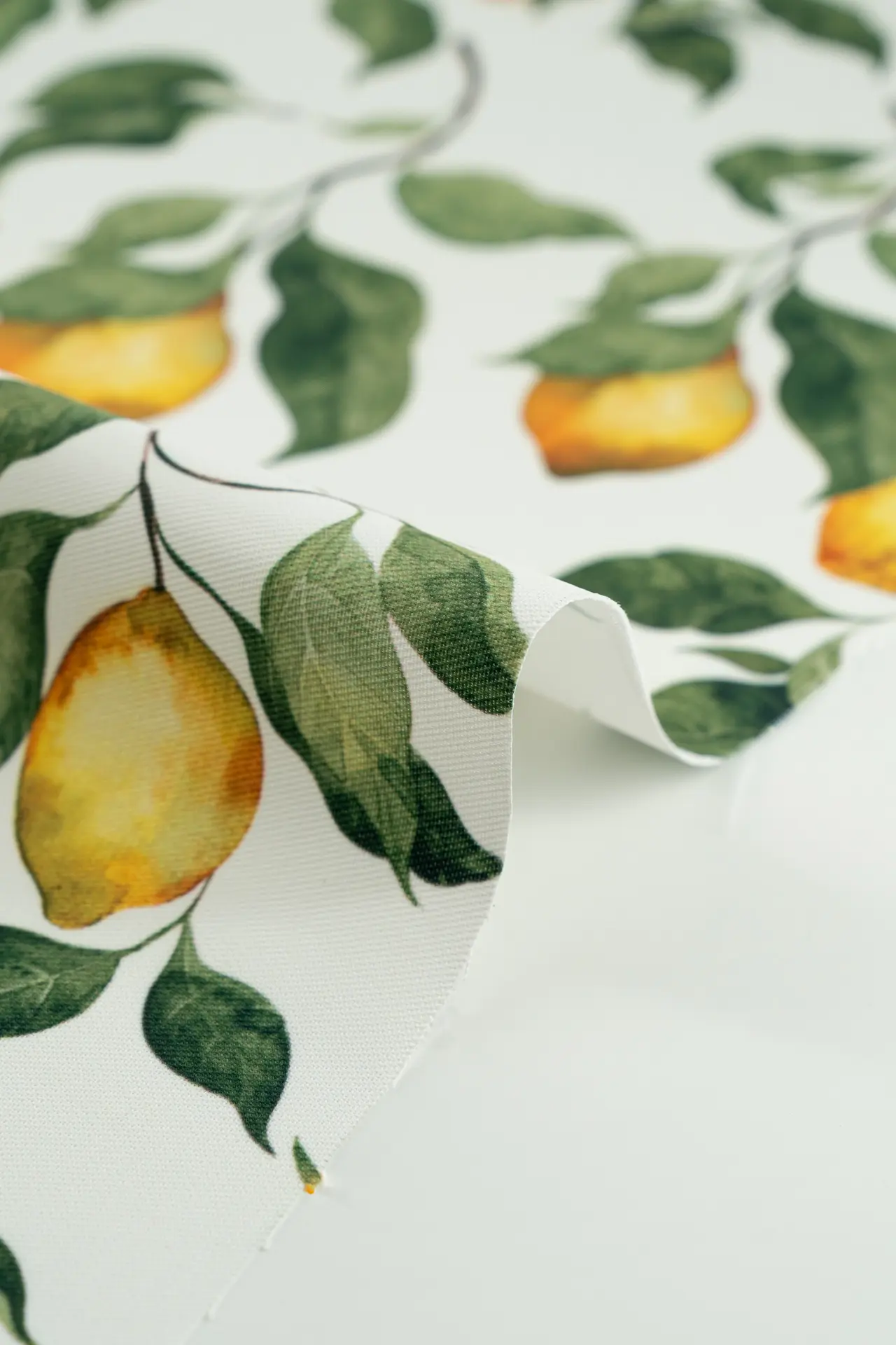 Resinado limones - Image 3