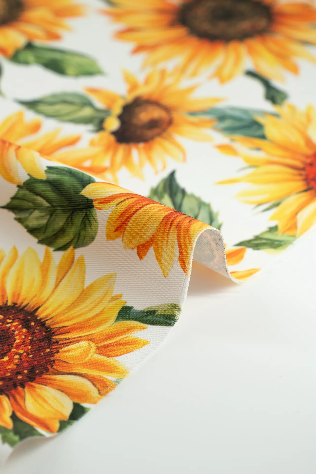 Resinado maize girasoles - Image 3