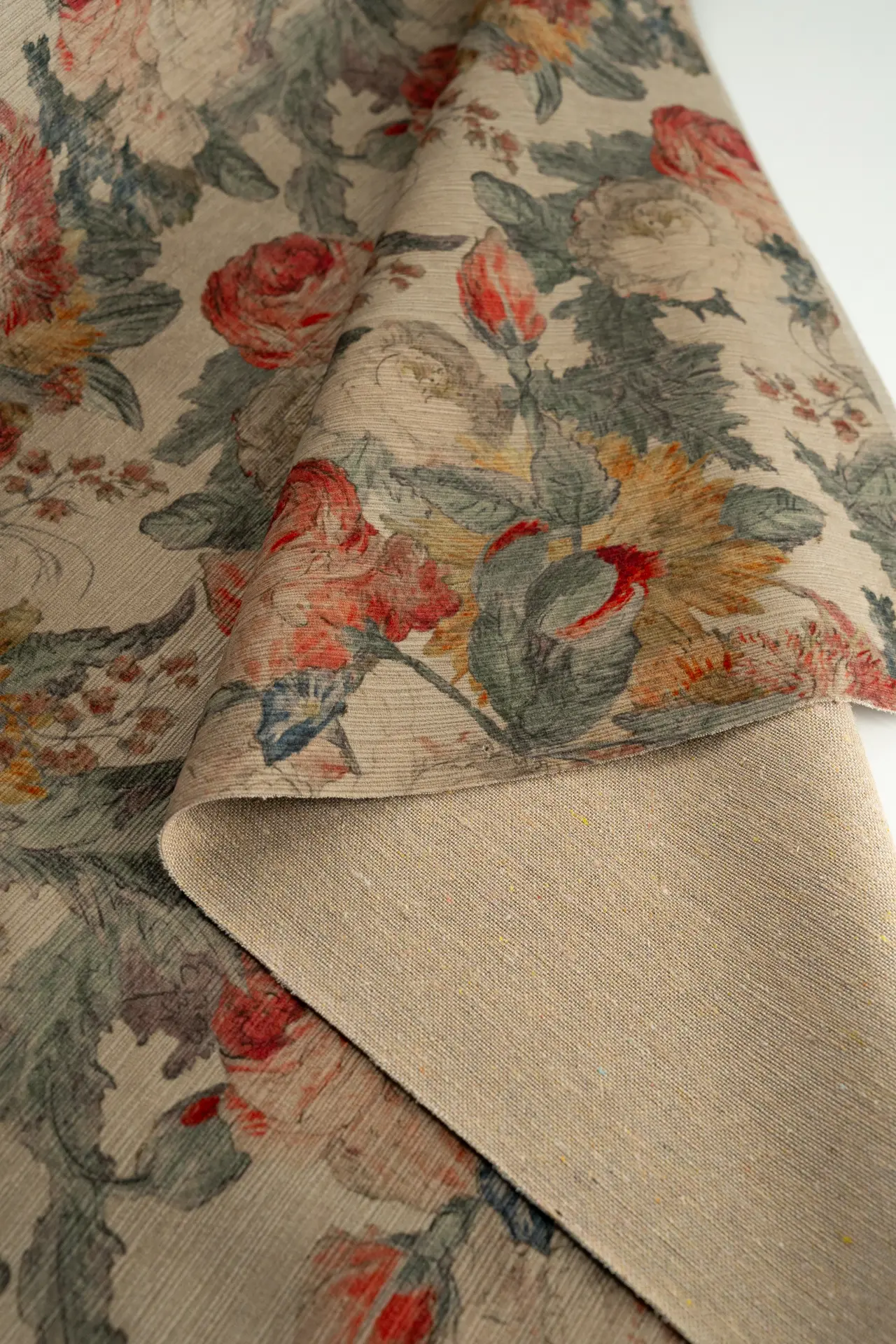 Sanding peach centaurea pale khaki - Image 4