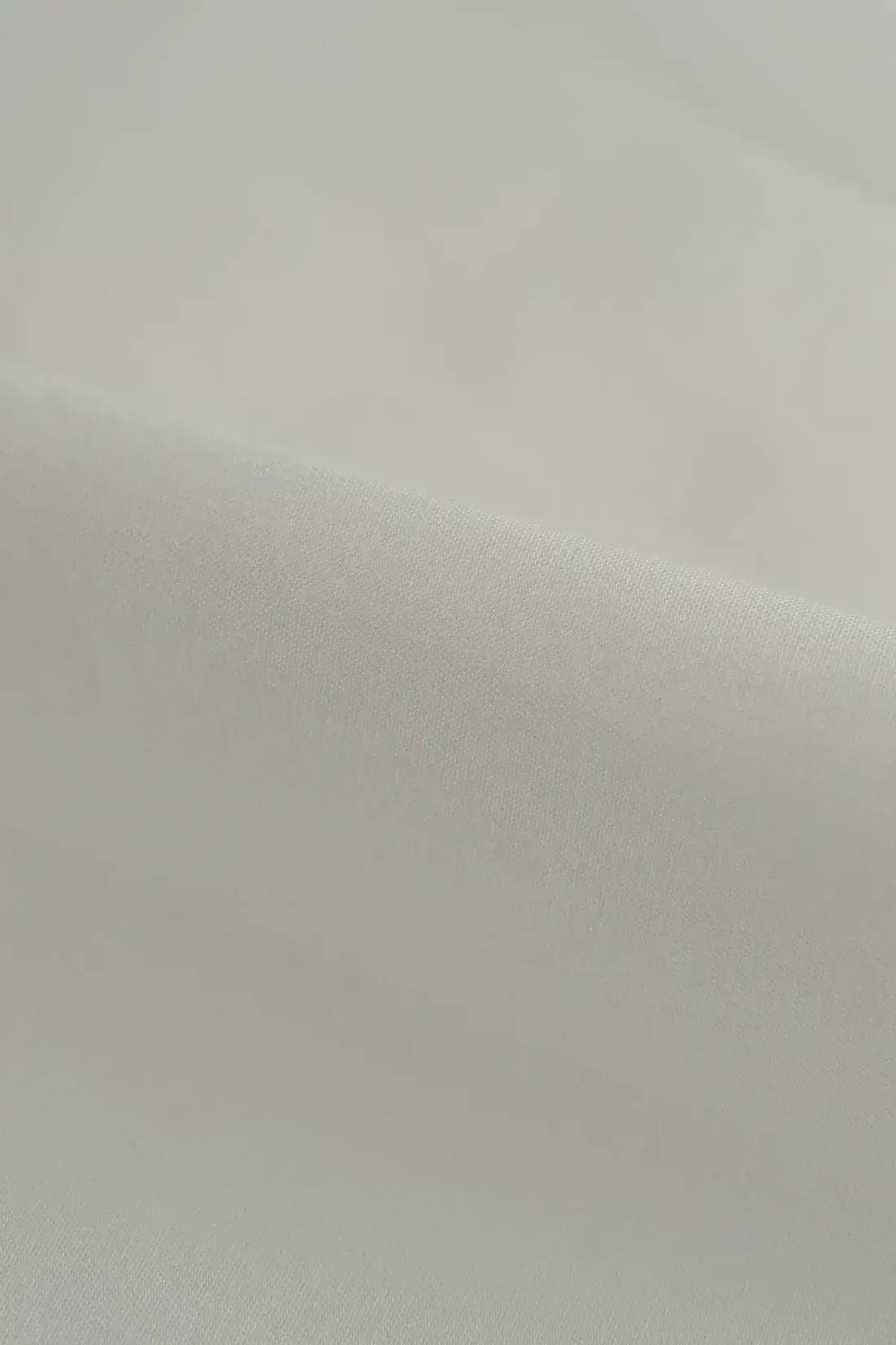 Sarga Blanco - Image 2