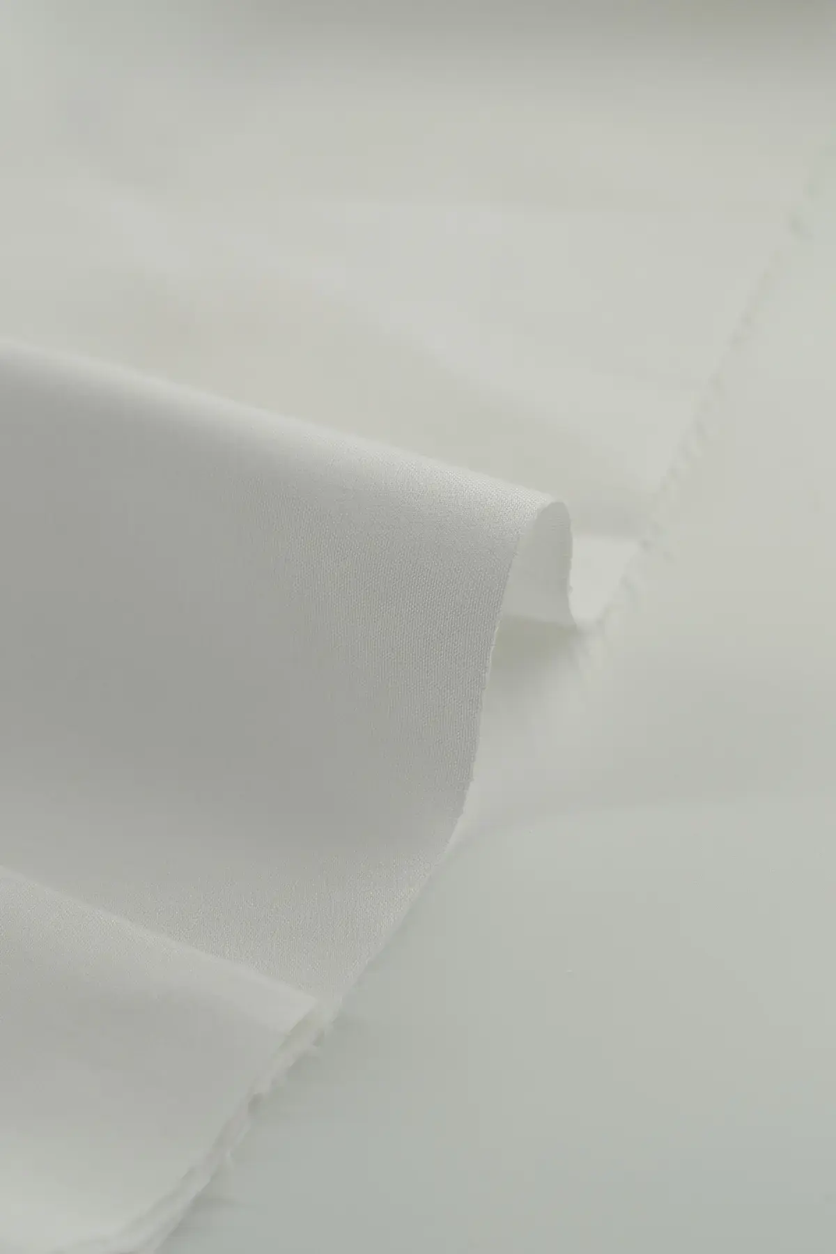 Sarga blanc de blanc - Image 3