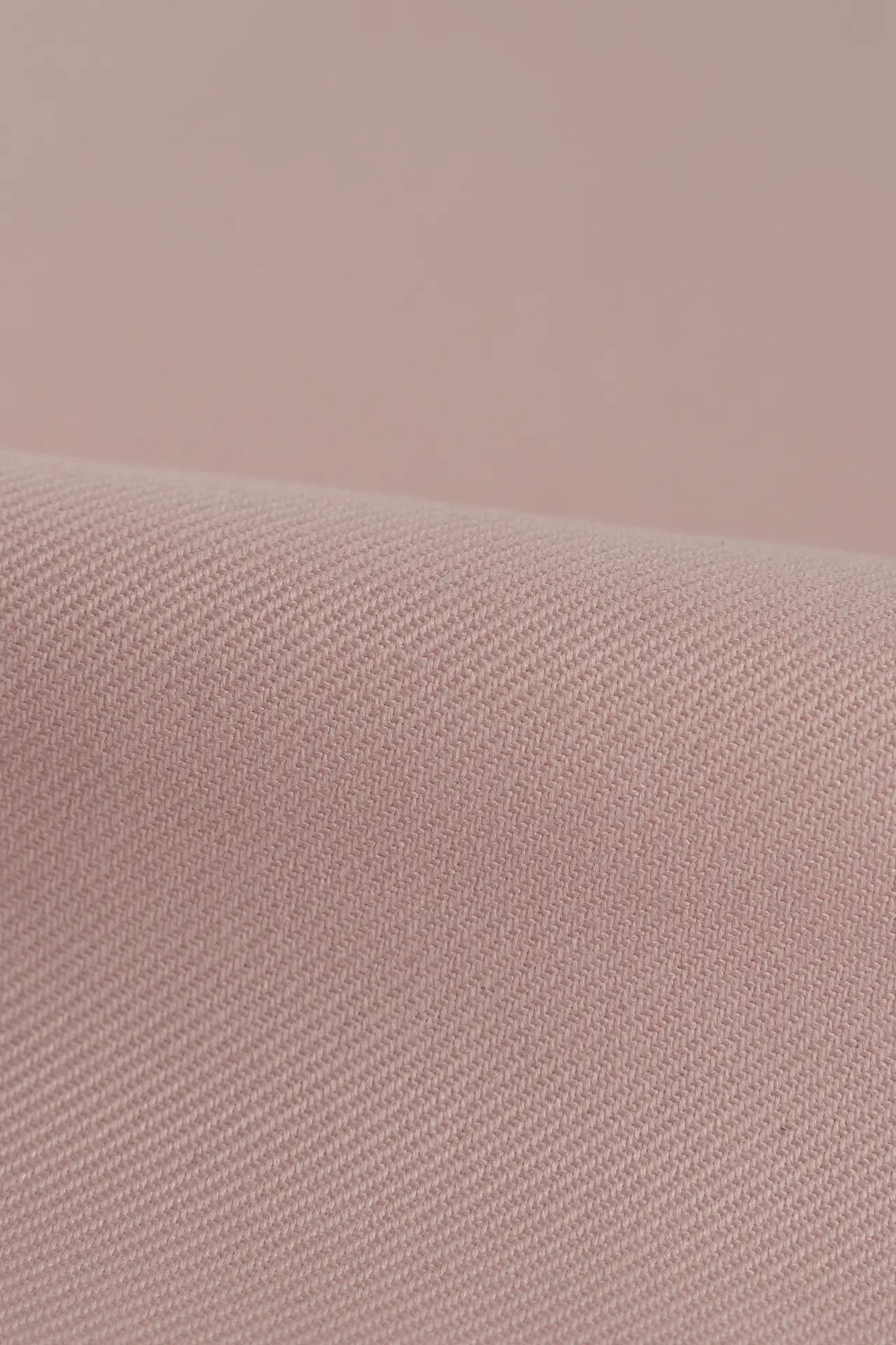 Sarga rosa - Image 2