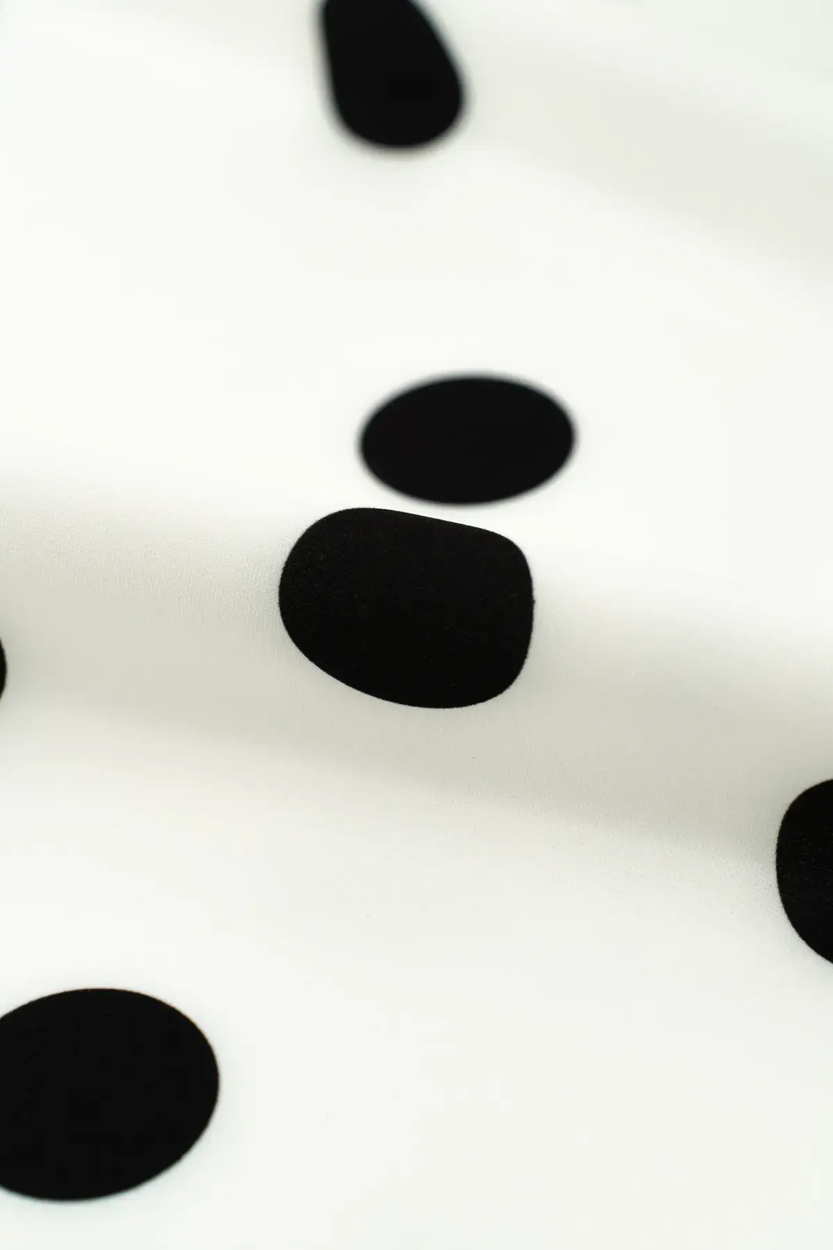 Sarga blanc de blanc - Image 2