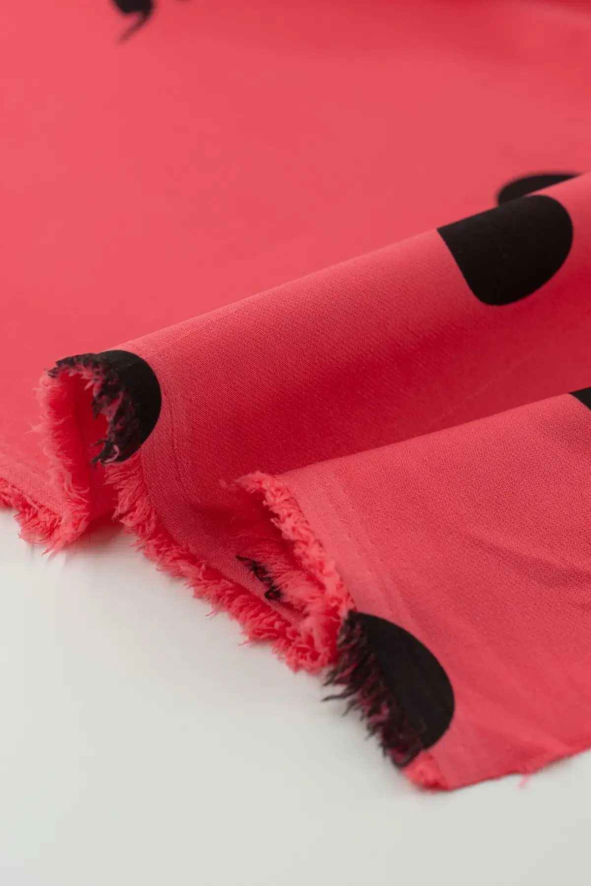 Sarga raspberry - Image 3