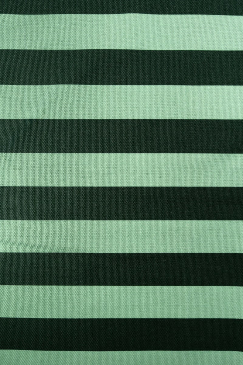 Tejidos