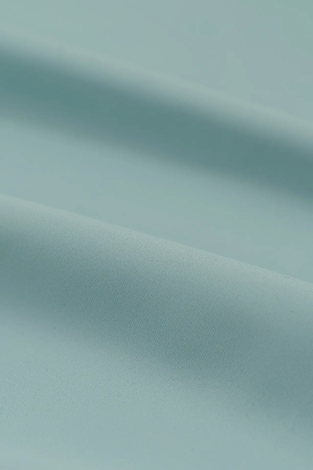Spandex beluga - Image 2