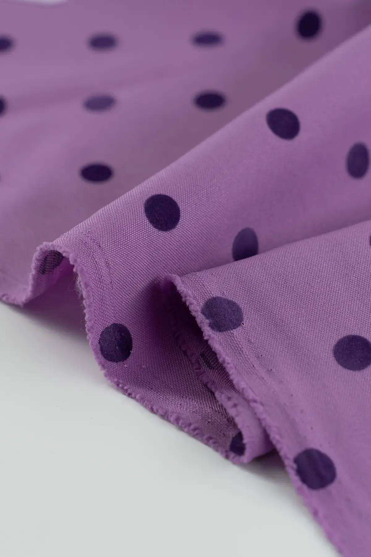 Strech african violet - Image 3