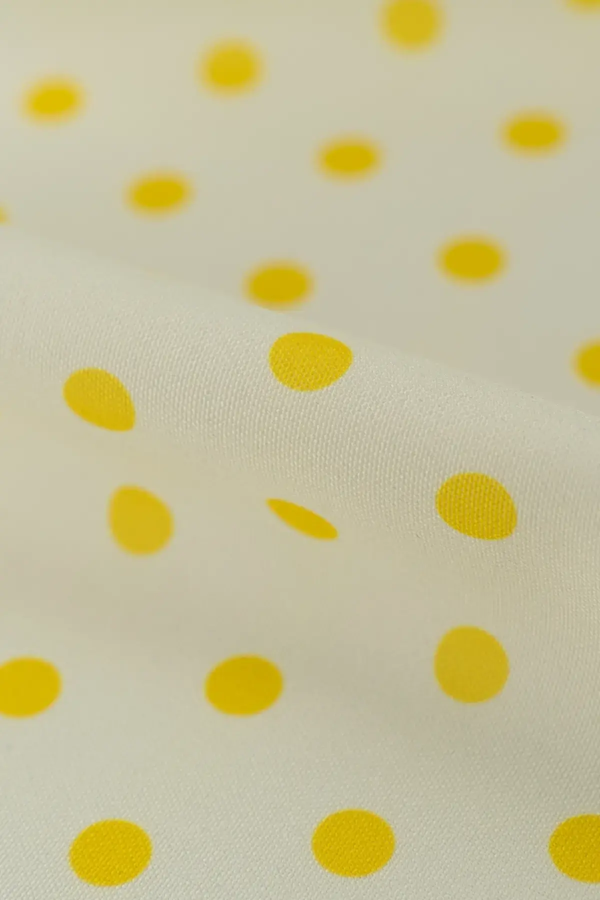 Strech blanc de blanc - Image 2