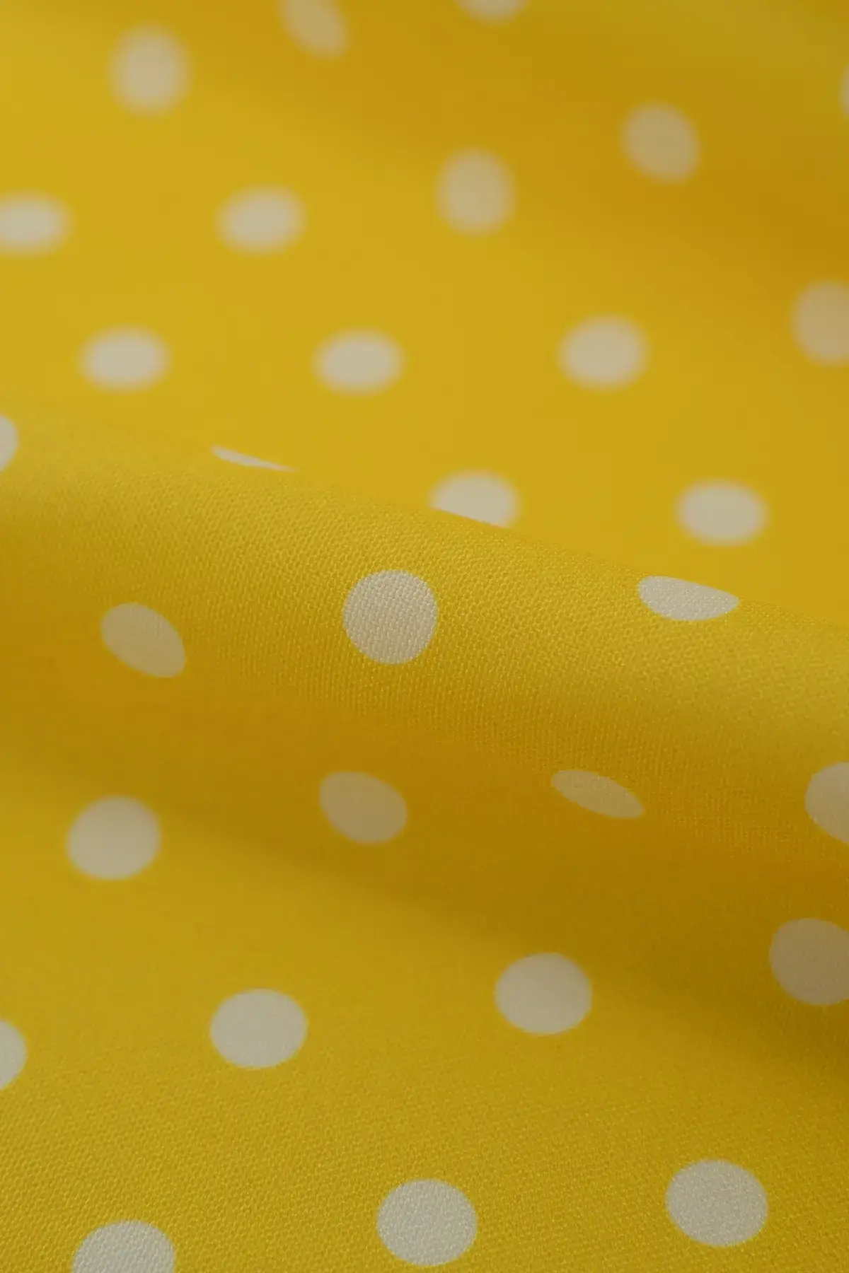 Strech buttercup - Image 2