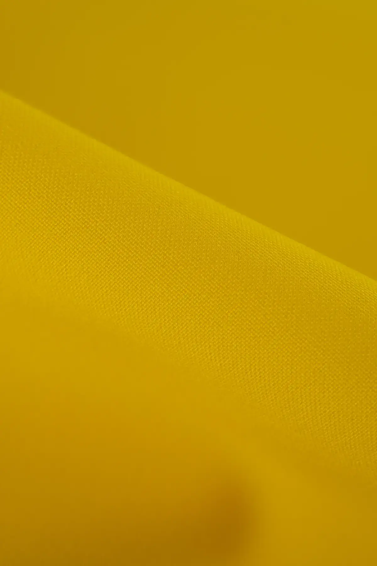 Strech empire yellow - Image 2
